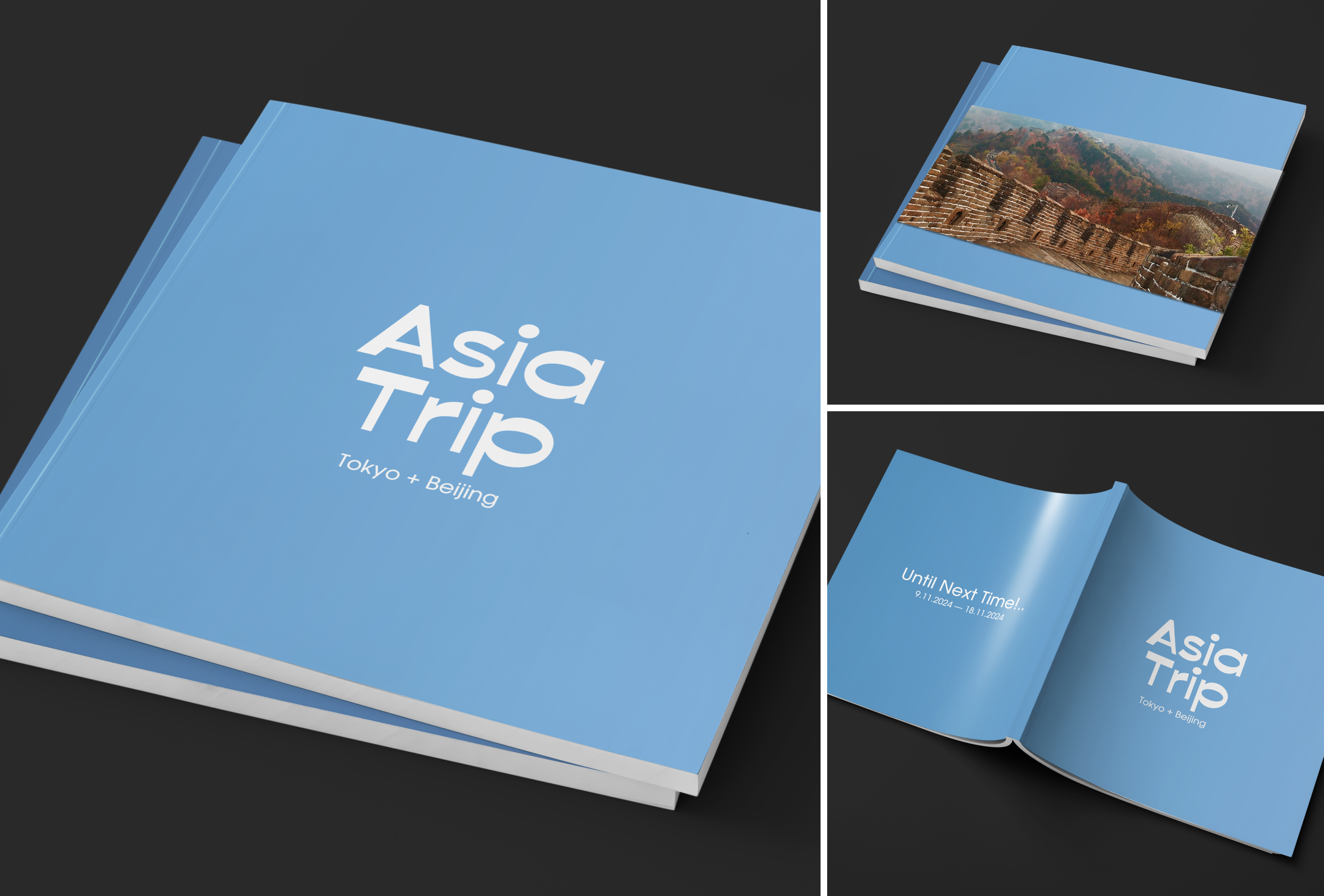 Asia Trip! 2024 — Изображение №3 — Графика на Dprofile