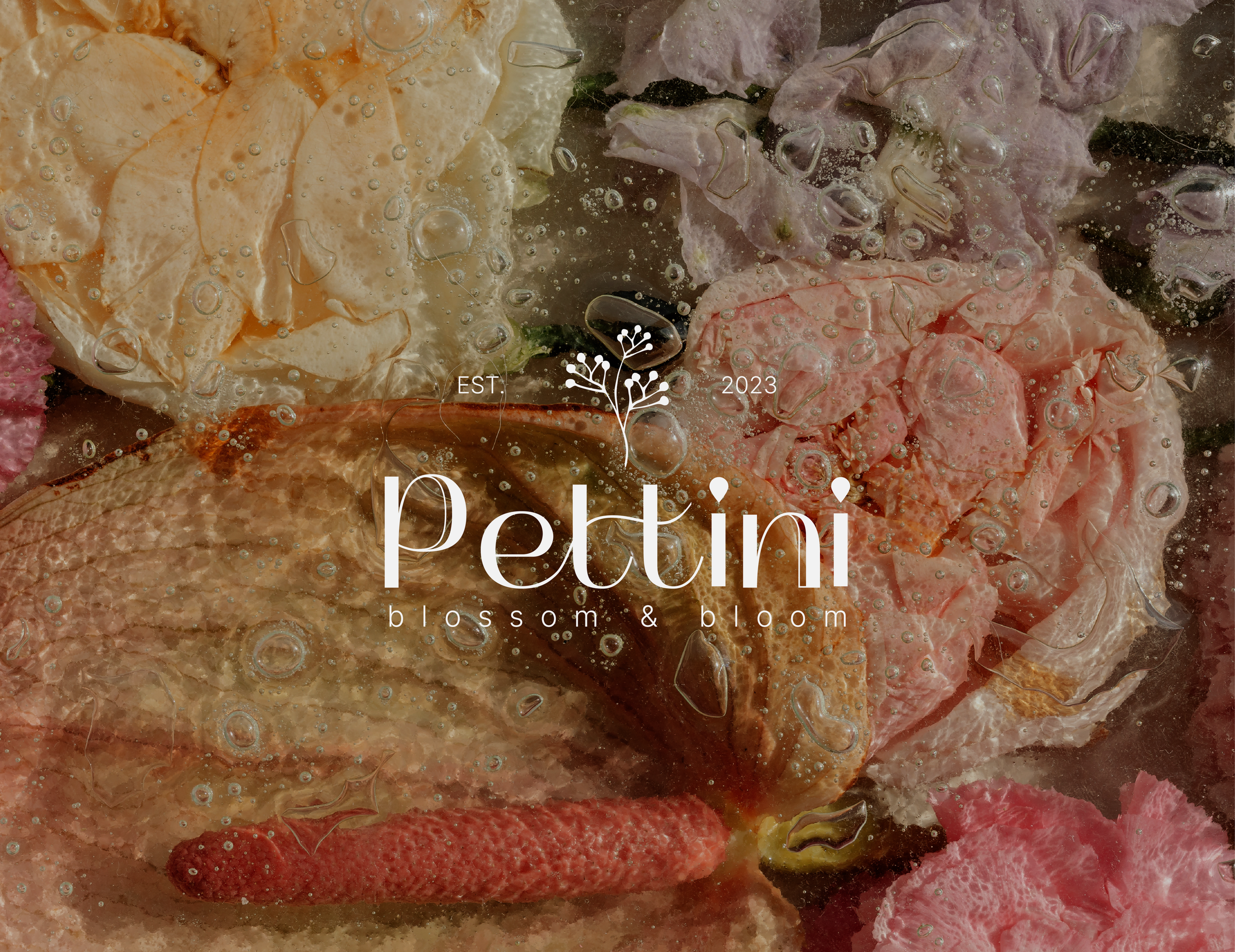 FLOWER BOUTIQUE | ЦВЕТОЧНЫЙ МАГАЗИН | BRAND IDENTITY — Изображение №1 — Брендинг, Маркетинг на Dprofile