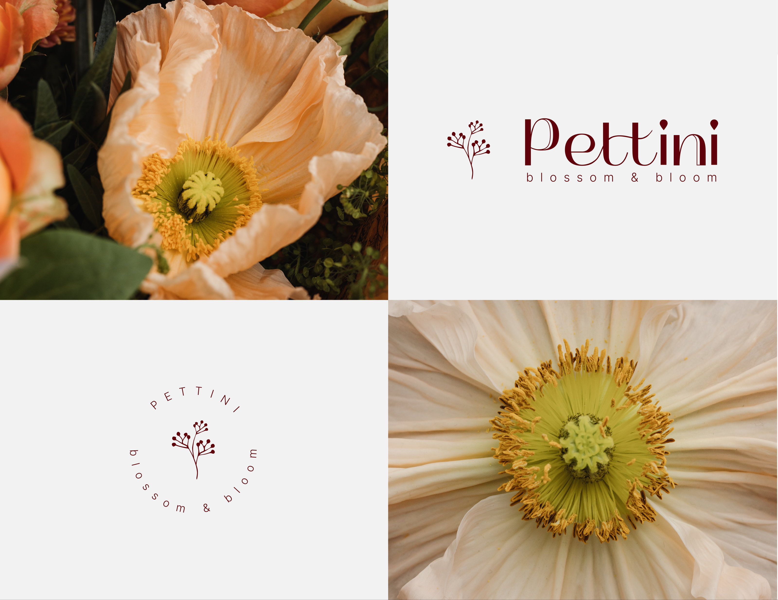 FLOWER BOUTIQUE | ЦВЕТОЧНЫЙ МАГАЗИН | BRAND IDENTITY — Изображение №3 — Брендинг, Маркетинг на Dprofile