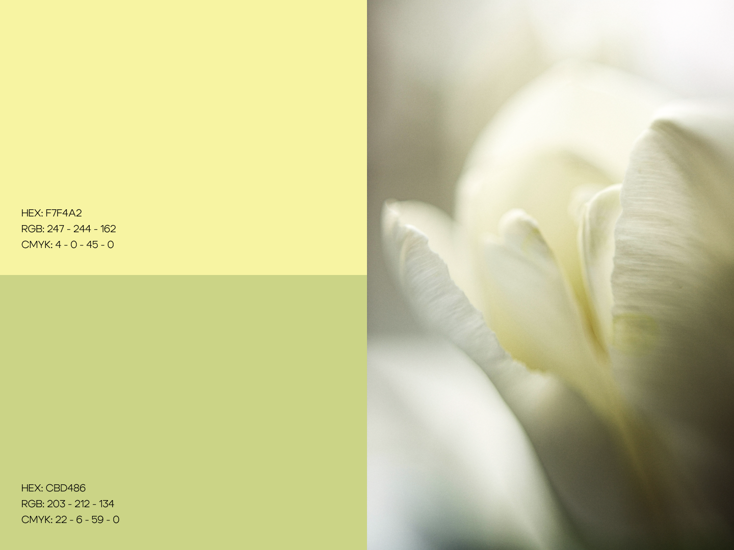 JEWELRY BRAND | УКРАШЕНИЯ | BRANDING | IDENTITY — Изображение №5 — Брендинг, Маркетинг на Dprofile