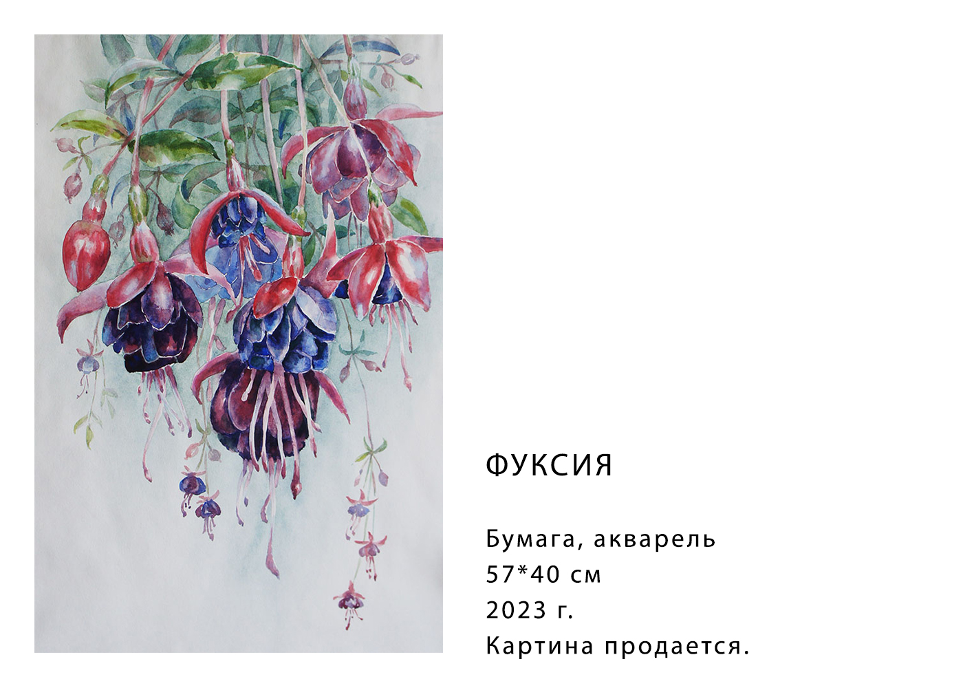 Графика, акварель — Изображение №4 — Иллюстрация, Графика на Dprofile