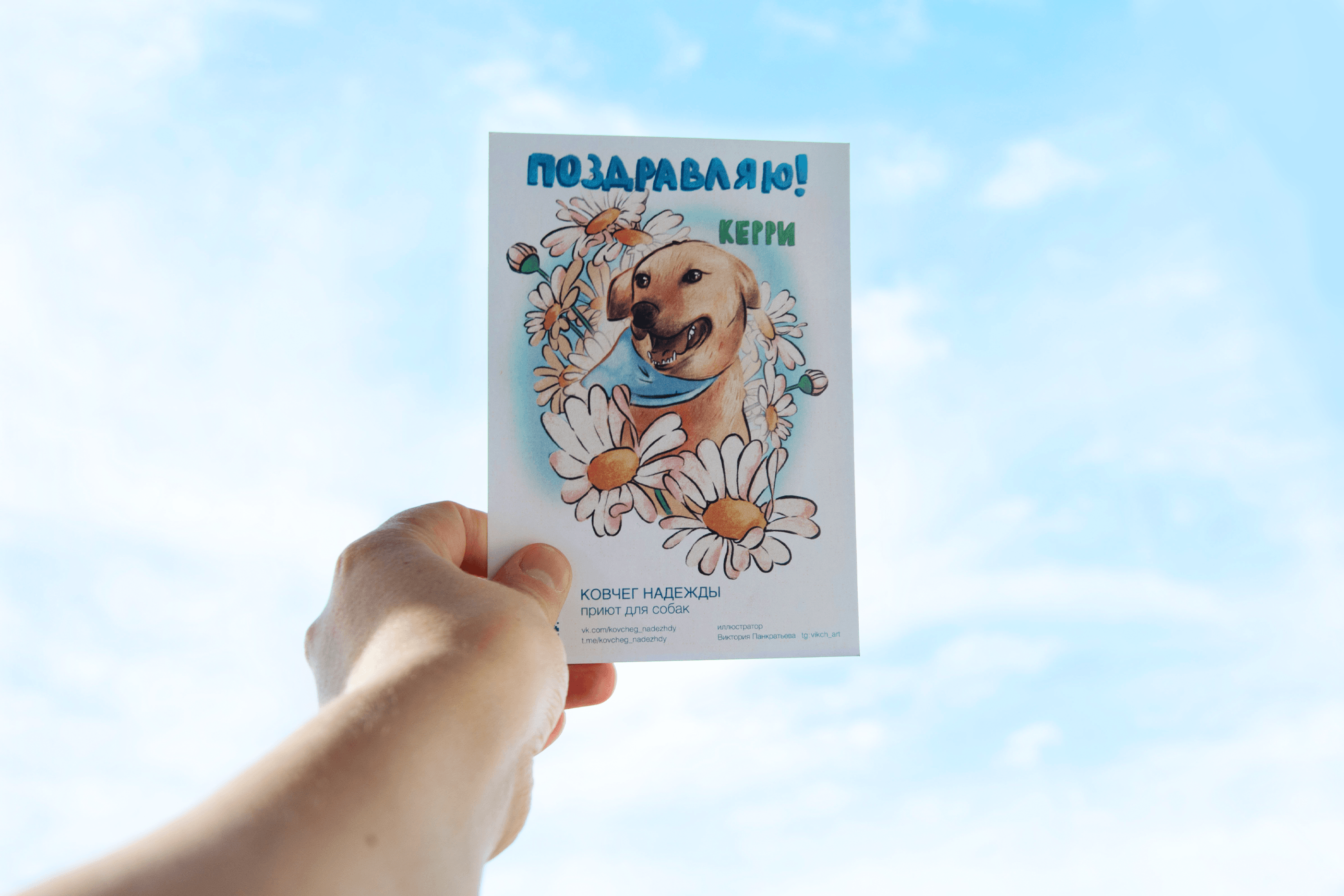 Благотворительная акция для приюта. Открытки. Портрет собаки — Изображение №18 — Иллюстрация, Маркетинг на Dprofile