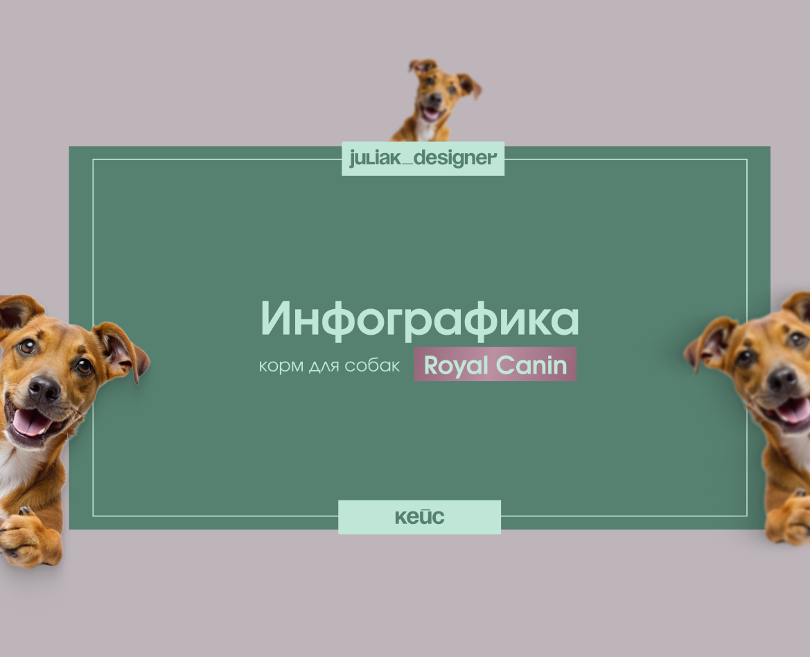 Дизайн карточки корма для собак — Интерфейсы, Графика на Dprofile