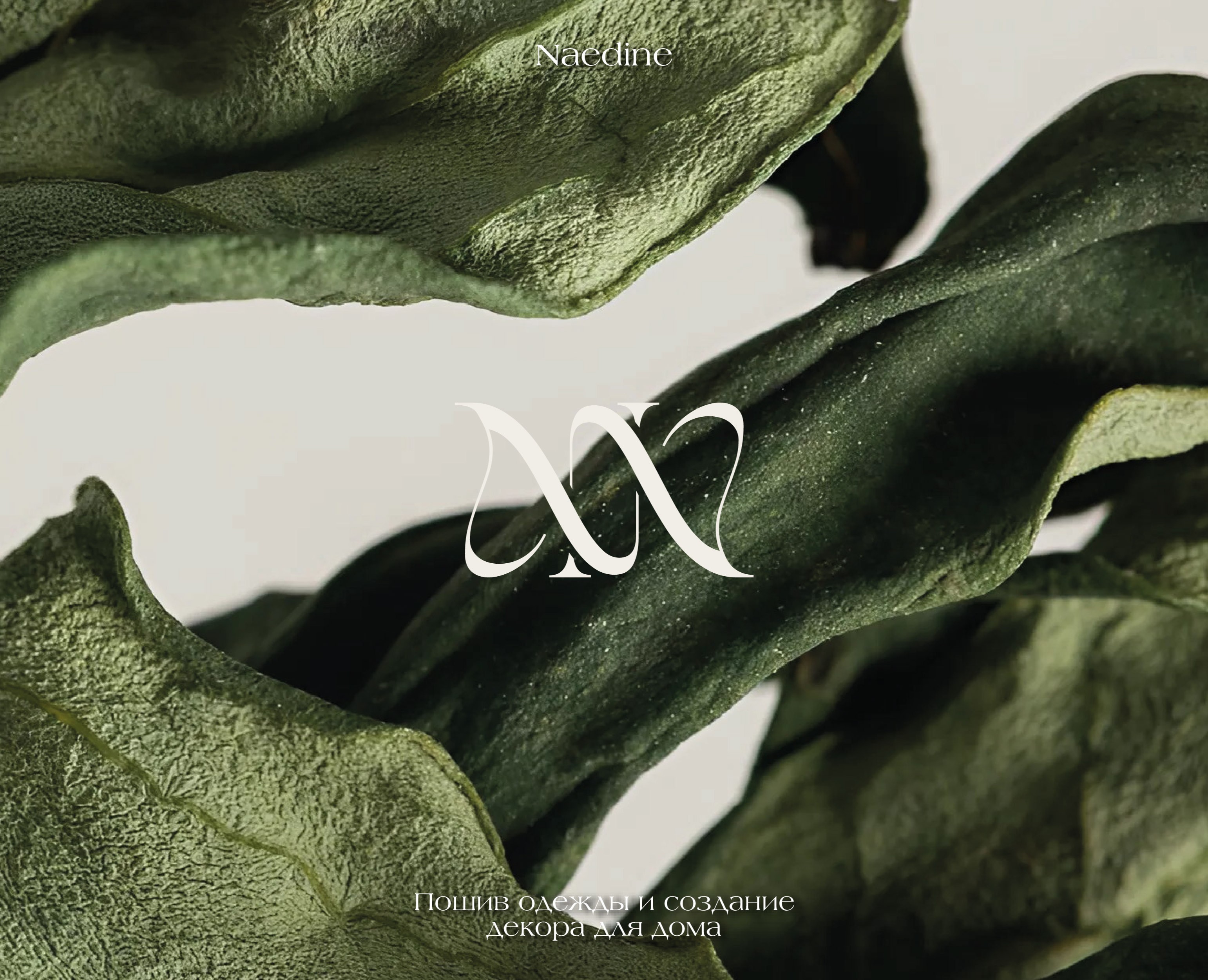 Логотип "Naedine" — Брендинг, Графика на Dprofile