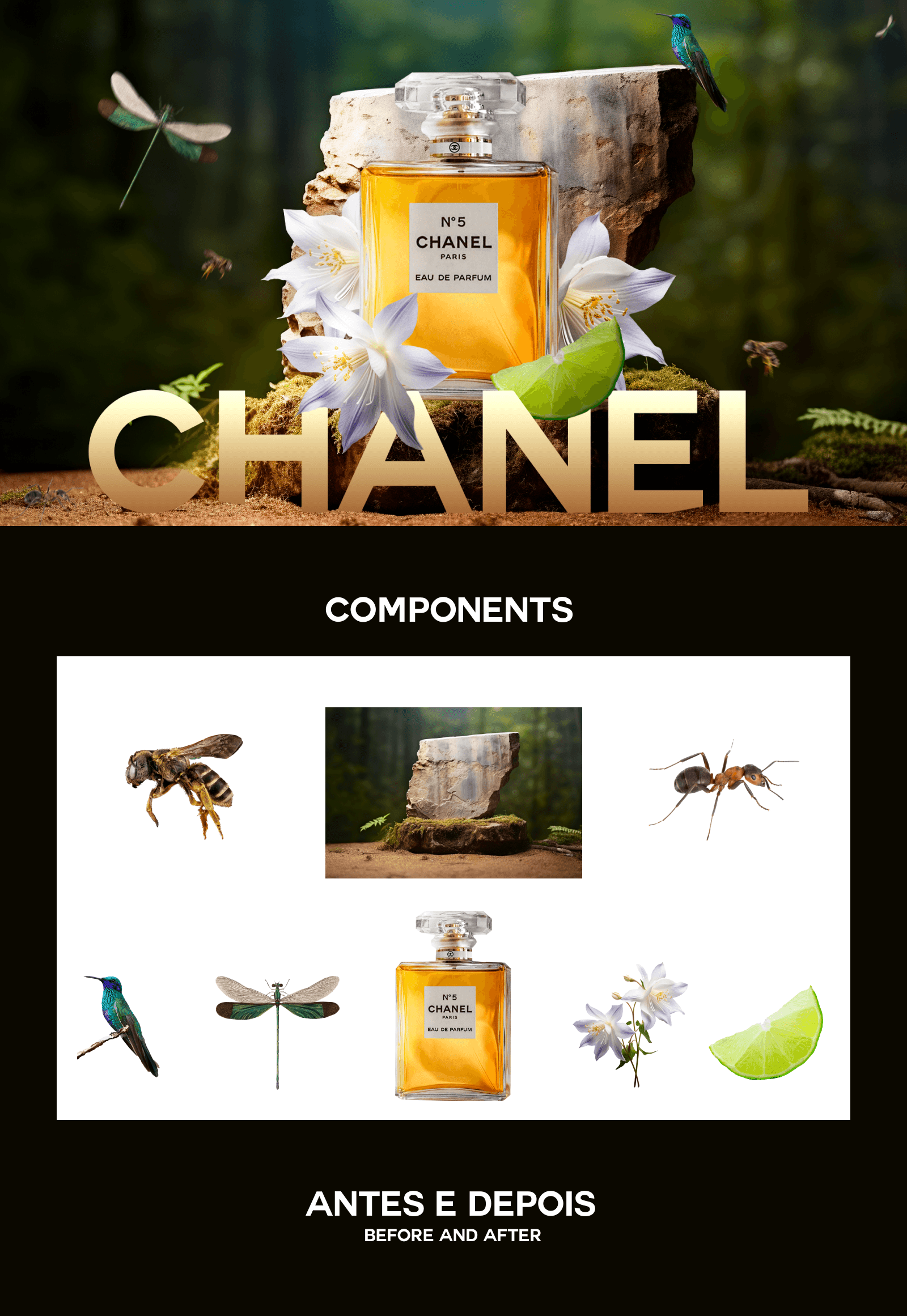 Key Visual | Parfume Chanel — Изображение №1 — Интерфейсы, Брендинг на Dprofile