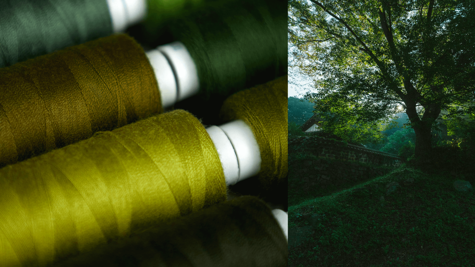 OAKAO — концепт бренда одежды — Изображение №2 — Брендинг на Dprofile