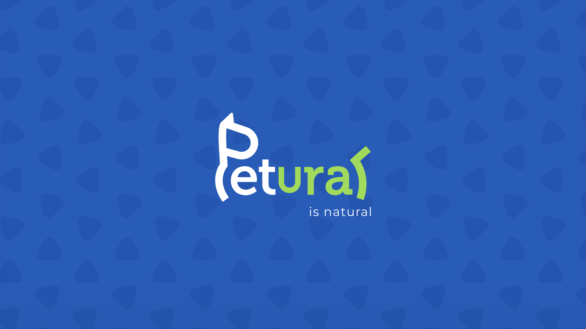 PETURAL/ Brand identity of dog products — Изображение №1 — Интерфейсы, Брендинг на Dprofile