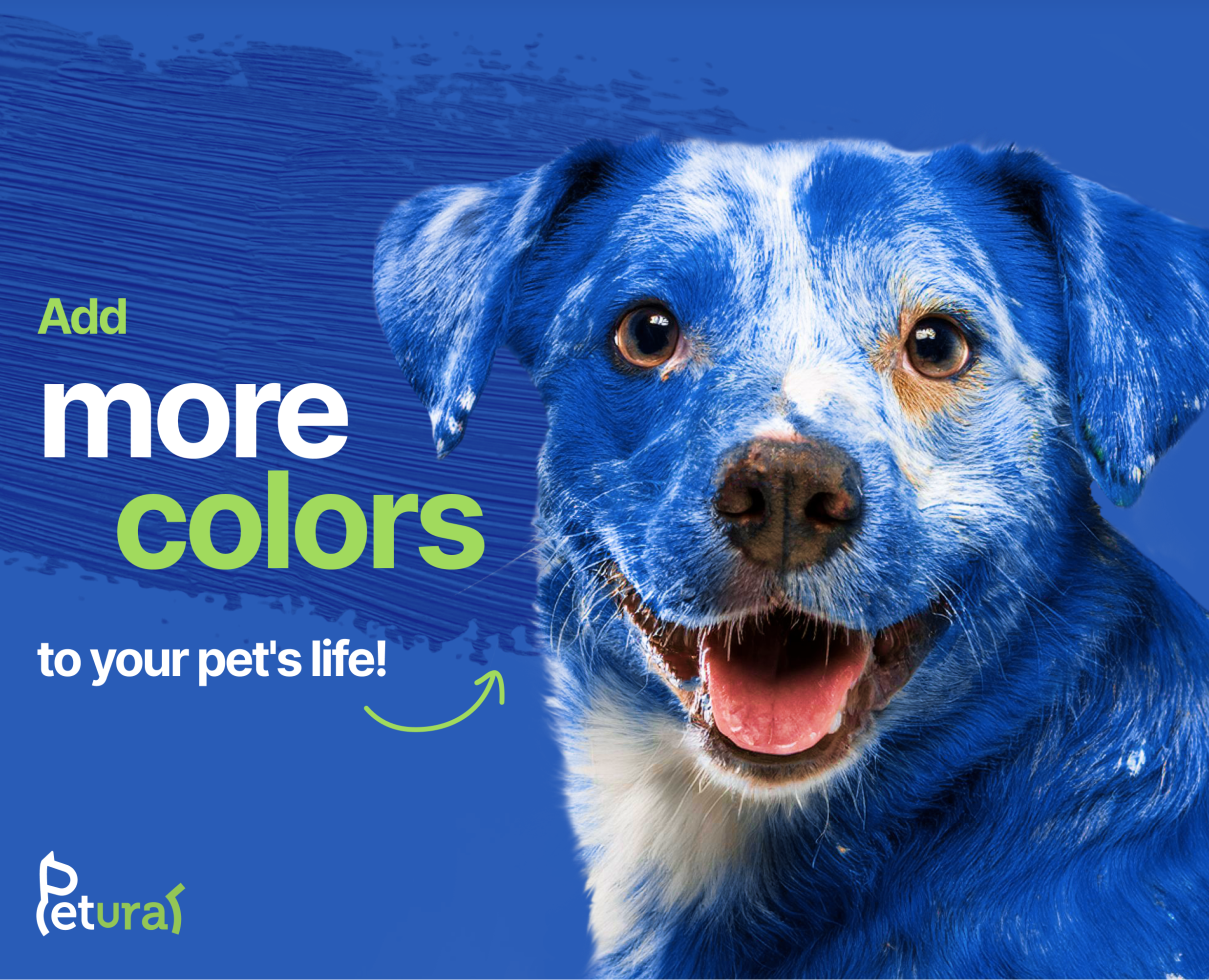 PETURAL/ Brand identity of dog products на Dprofile