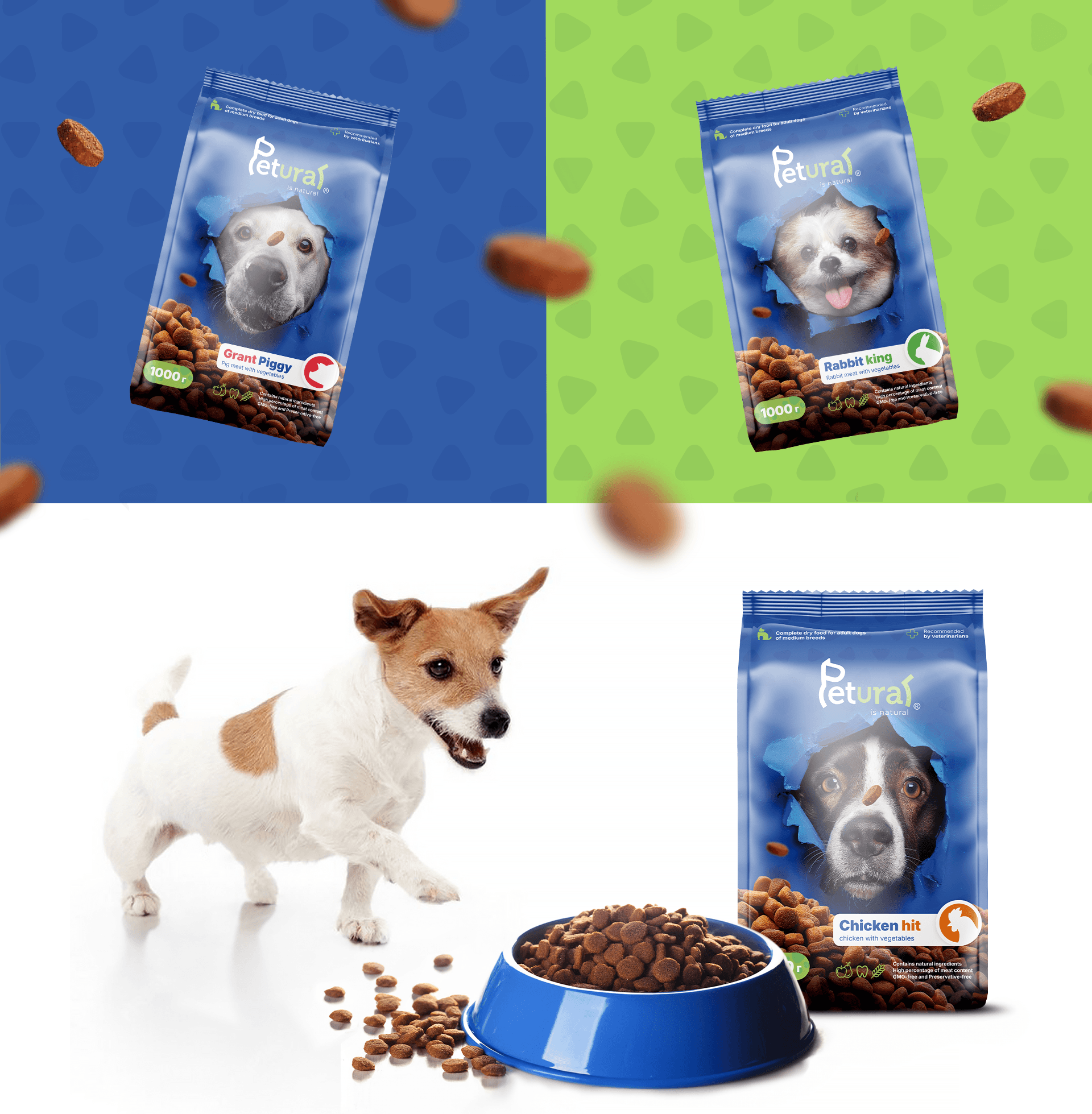 PETURAL/ Brand identity of dog products — Изображение №7 — Интерфейсы, Брендинг на Dprofile