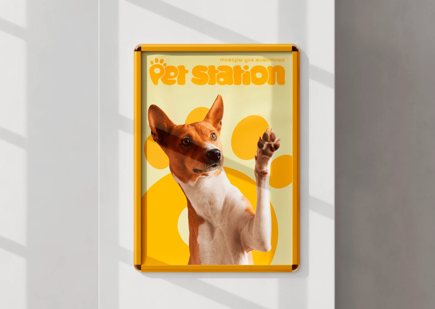 Pet Station - магазин товаров для животных — Изображение №8 — Брендинг на Dprofile