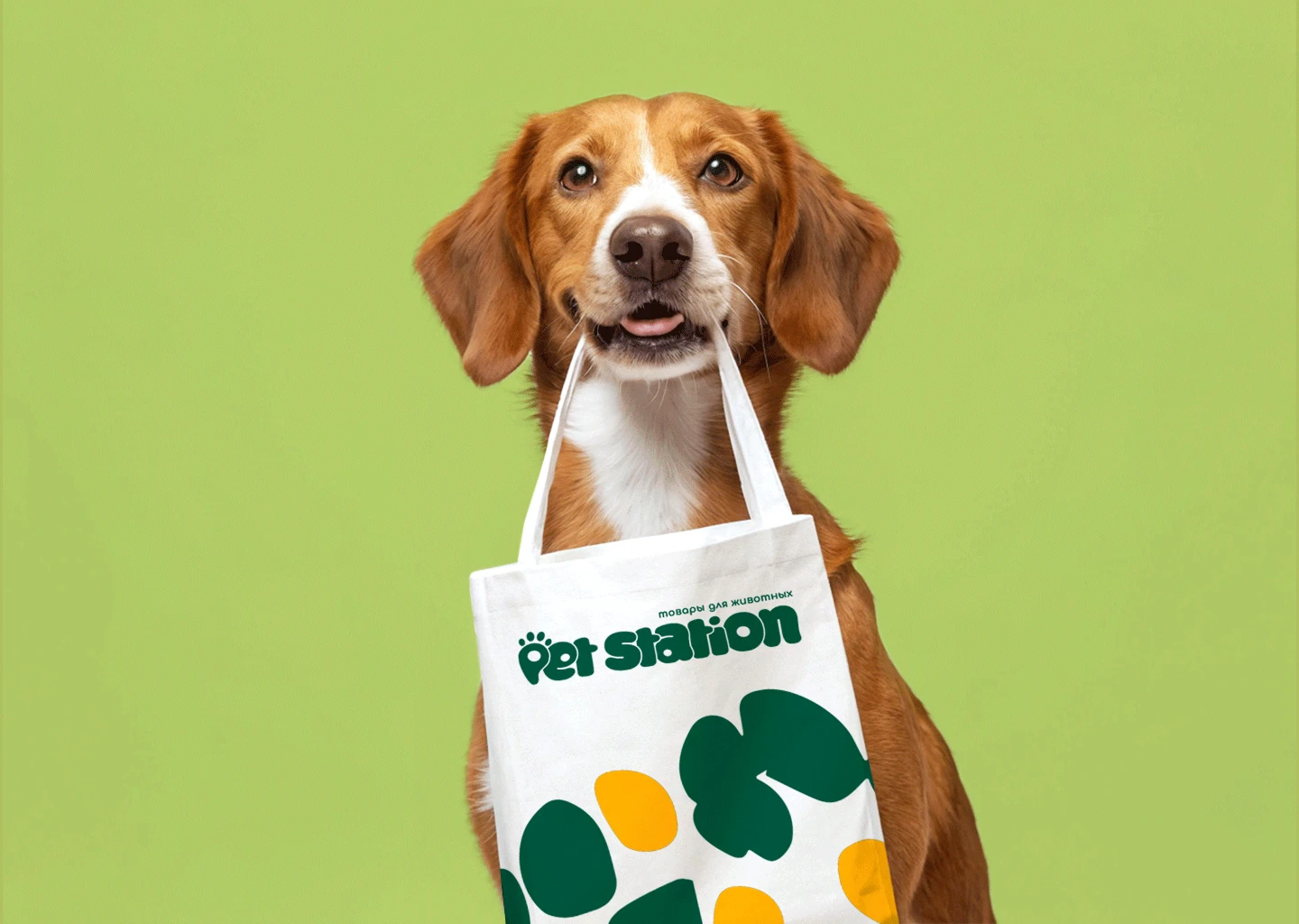 Pet Station - магазин товаров для животных — Изображение №10 — Брендинг на Dprofile