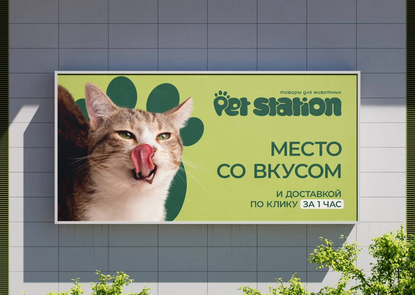 Pet Station - магазин товаров для животных — Изображение №9 — Брендинг на Dprofile