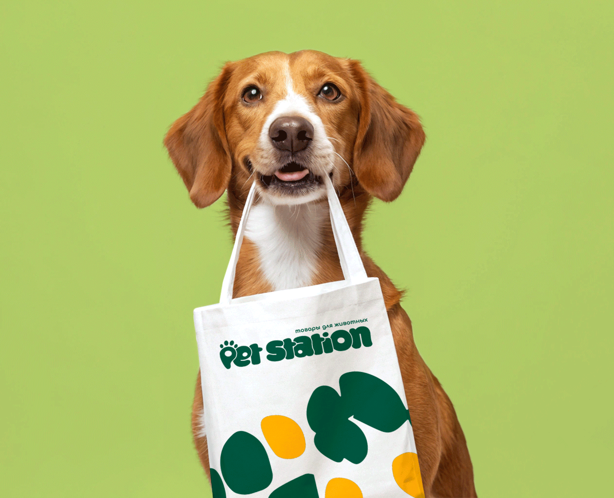 Pet Station - магазин товаров для животных — Брендинг на Dprofile