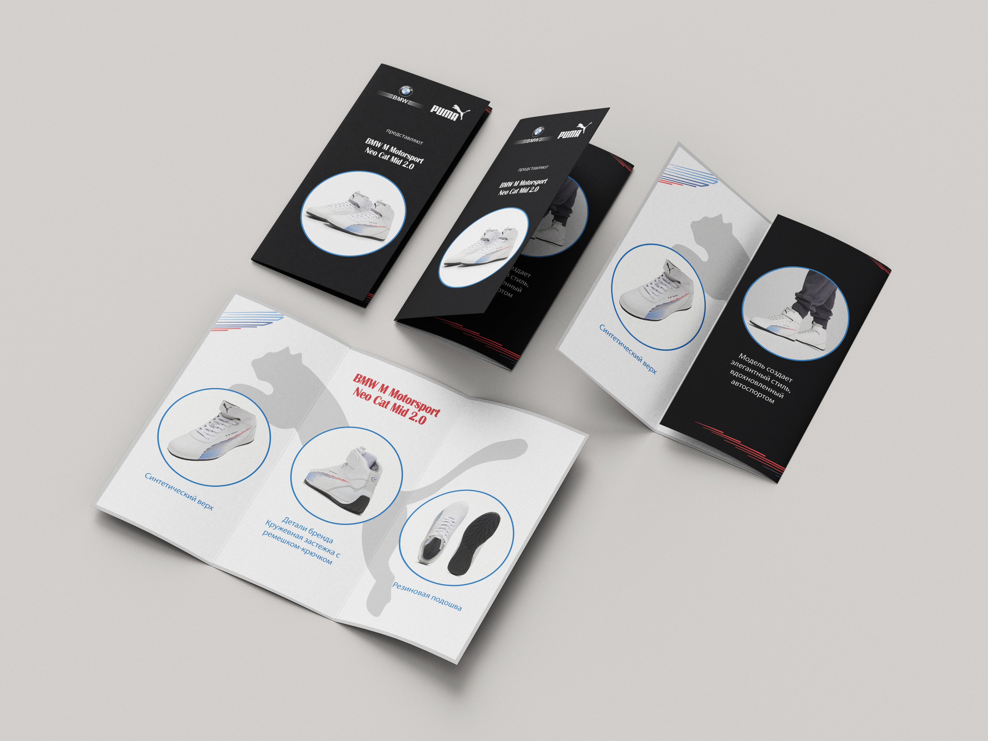 Лифлет для кроссовок — Изображение №3 — Брендинг, Графика на Dprofile