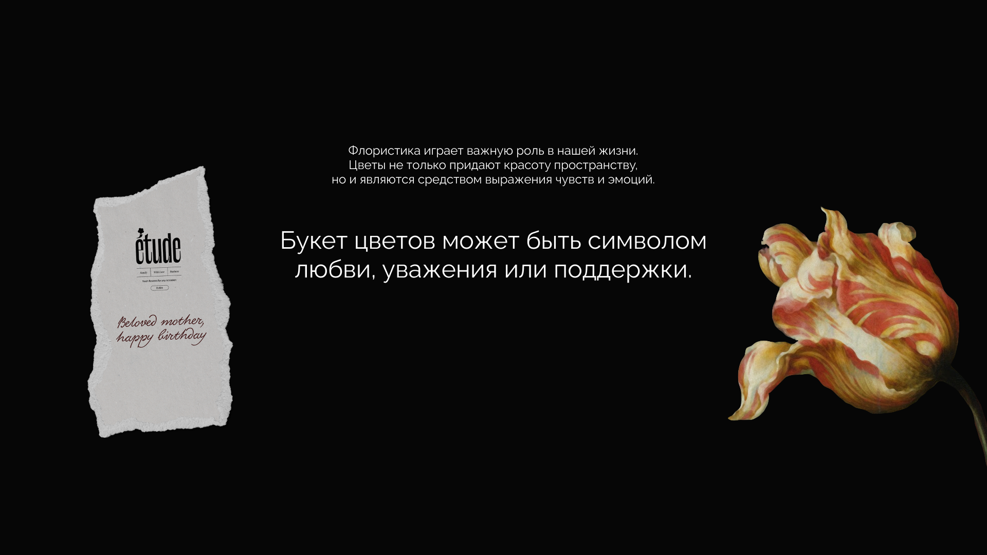 Логотип. Фирменный стиль. Identity. Магазин. Shop — Изображение №3 — Брендинг на Dprofile