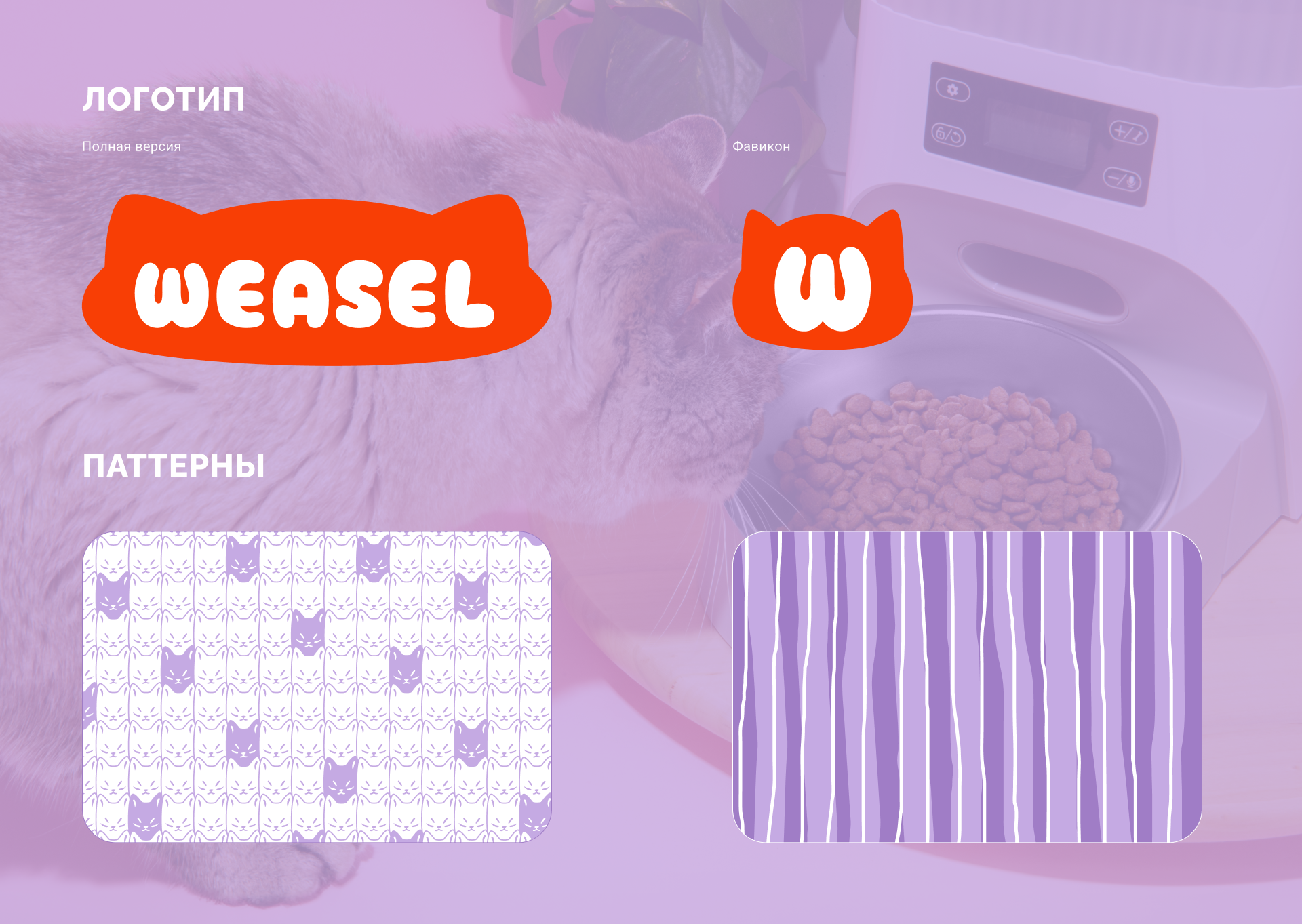 Фирменный стиль для кошачьего корма Weasel — Изображение №4 — Брендинг на Dprofile