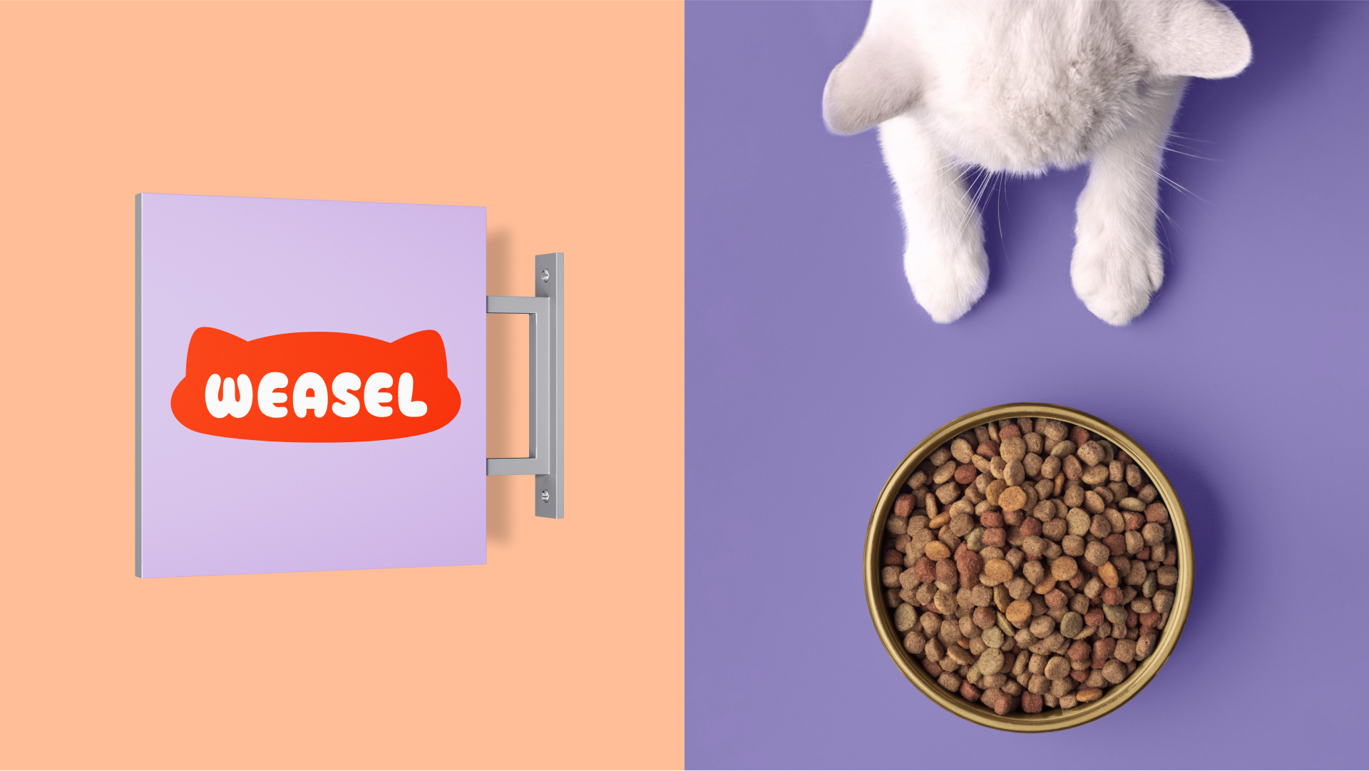 Фирменный стиль для кошачьего корма Weasel — Изображение №6 — Брендинг на Dprofile