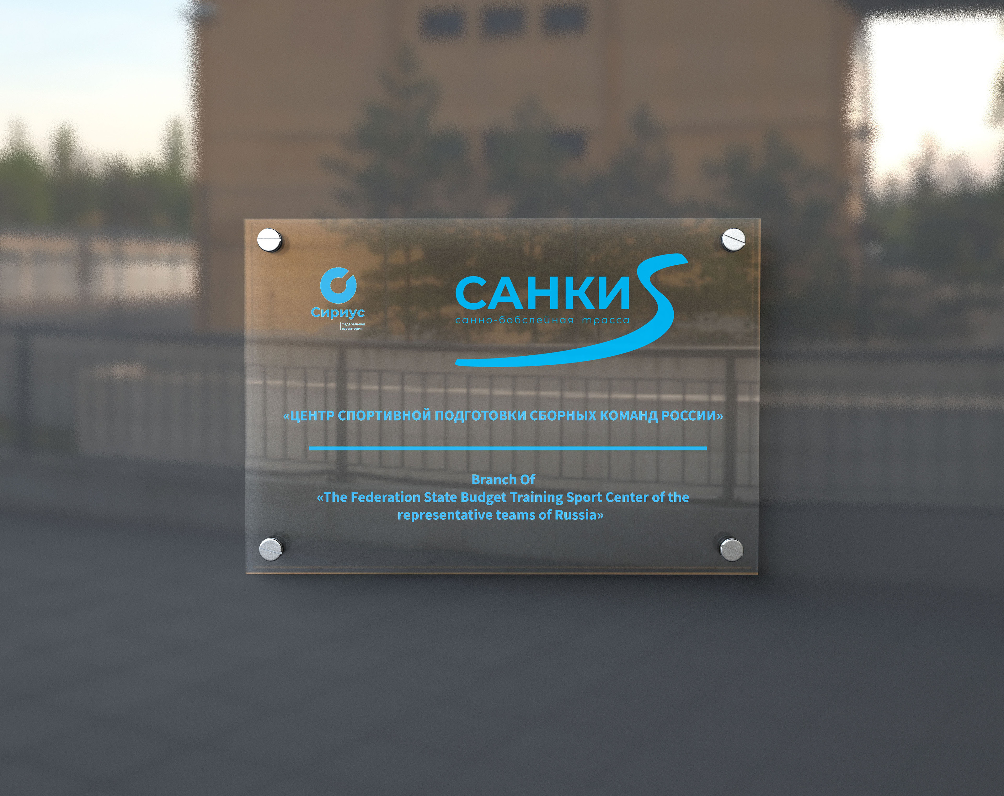 САНКИ. Сириус — Изображение №1 — Брендинг, Графика на Dprofile
