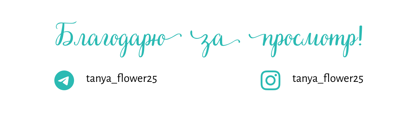 Фирменный стиль и сайт для школы — Изображение №11 — Брендинг на Dprofile