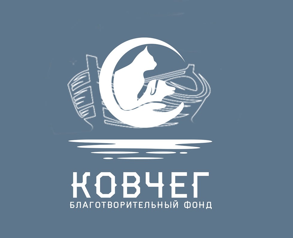 Благотворительный фонд Ковчег — Брендинг на Dprofile