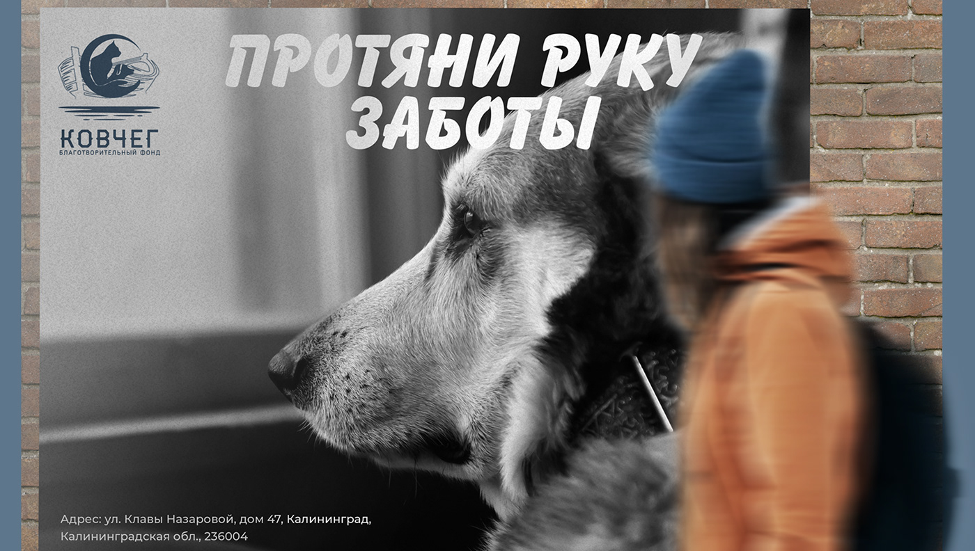 Благотворительный фонд Ковчег — Изображение №10 — Брендинг на Dprofile