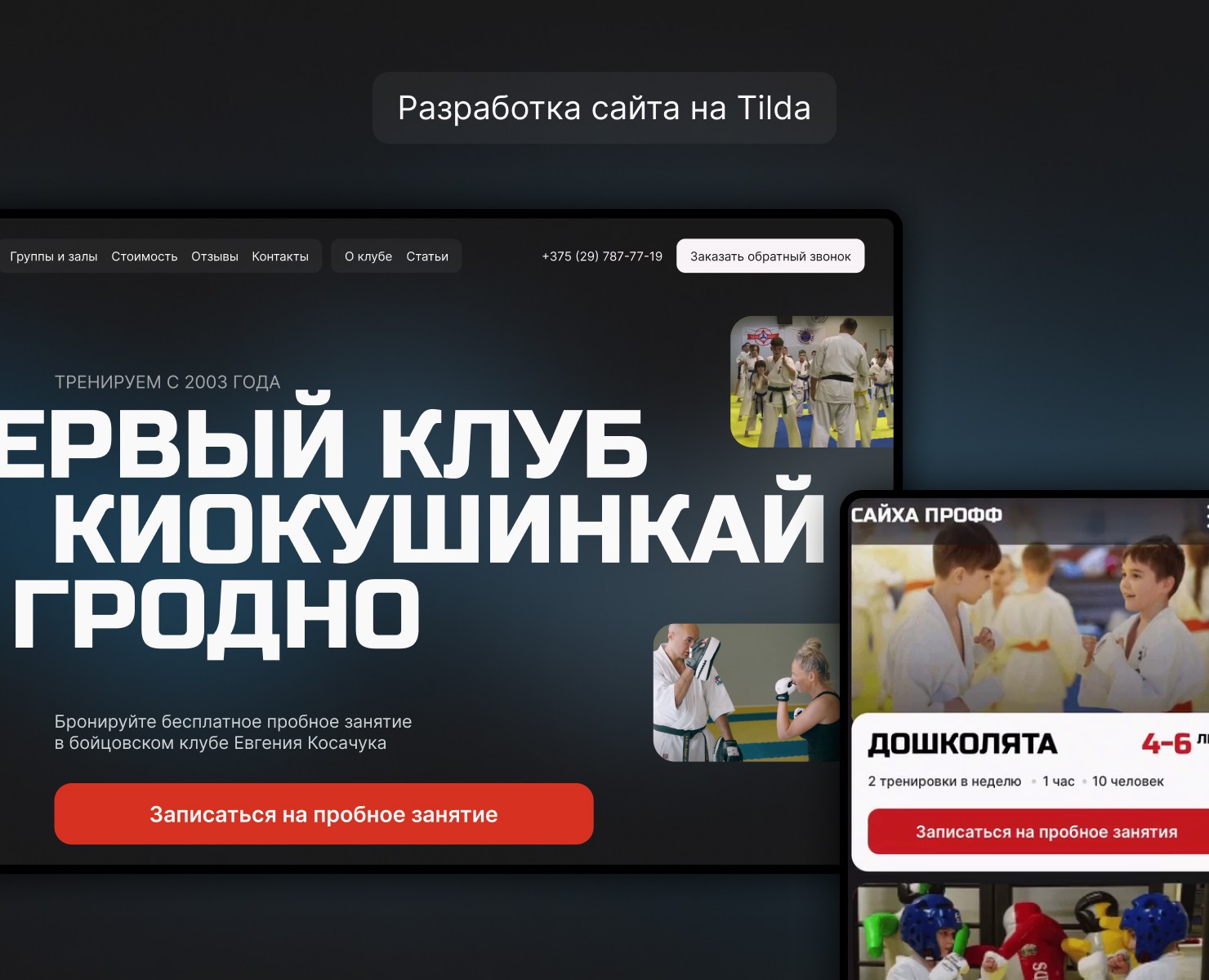 Website Design | Karate school — Интерфейсы на Dprofile