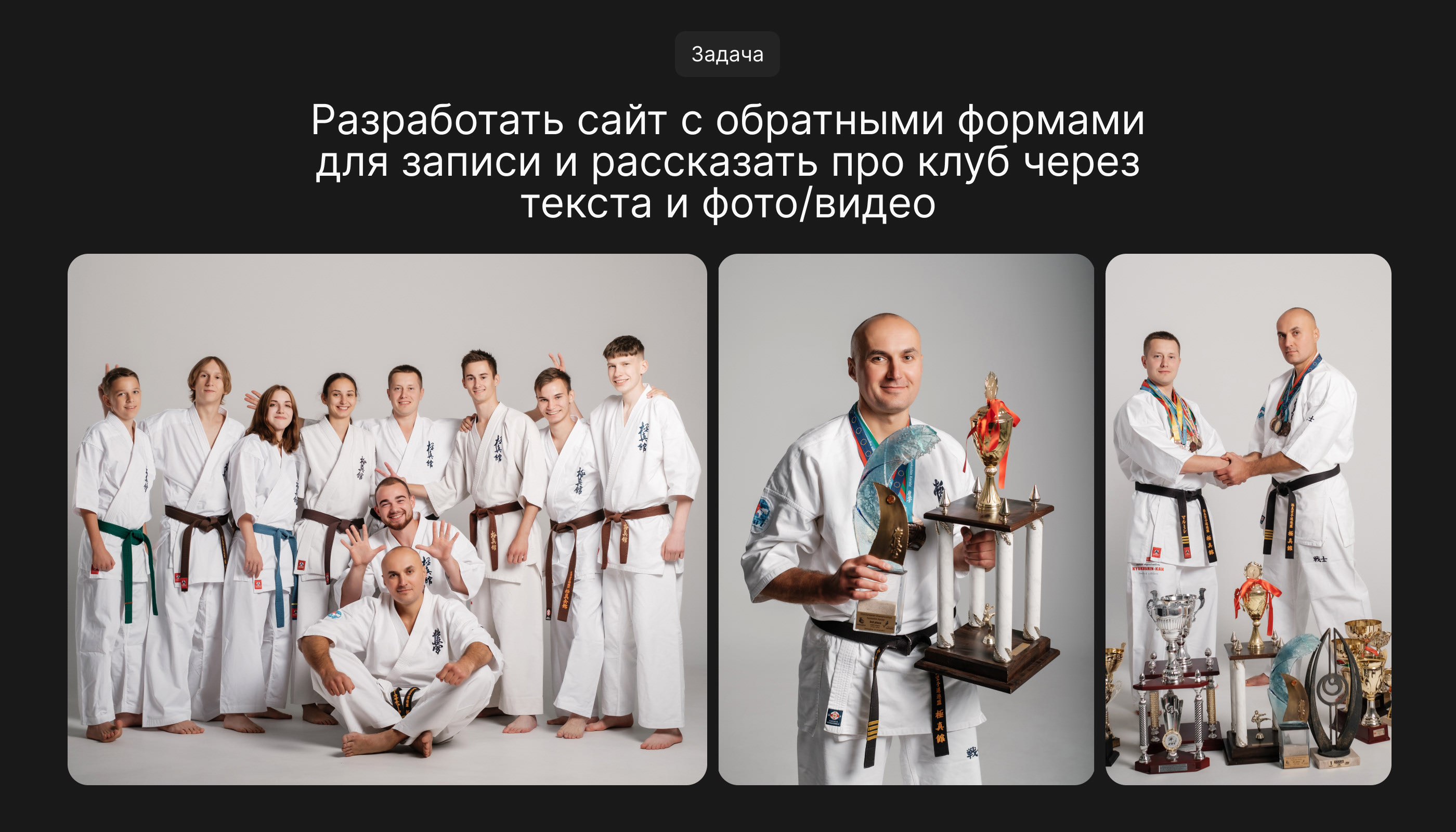 Website Design | Karate school — Изображение №2 — Интерфейсы на Dprofile