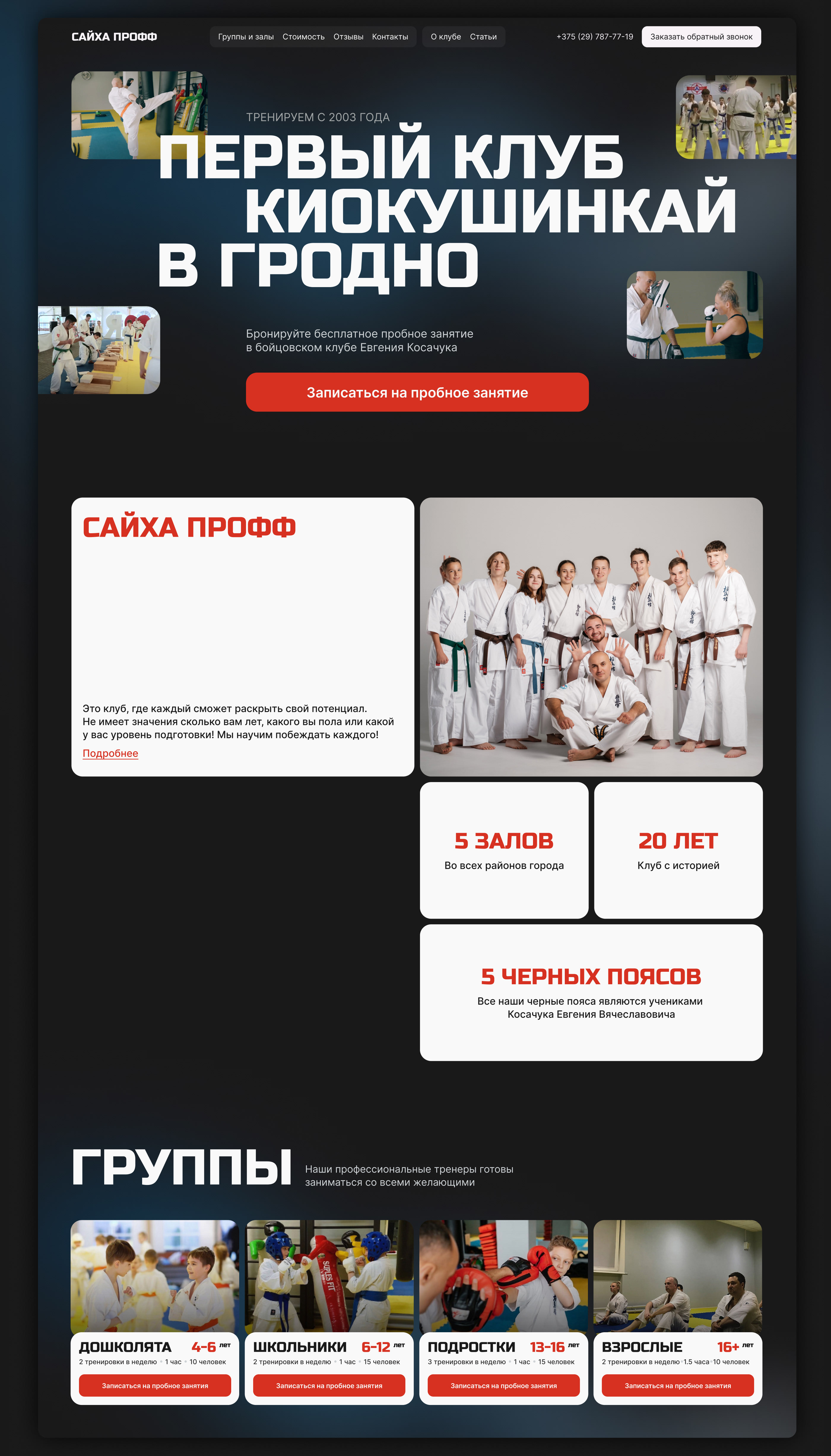 Website Design | Karate school — Изображение №6 — Интерфейсы на Dprofile