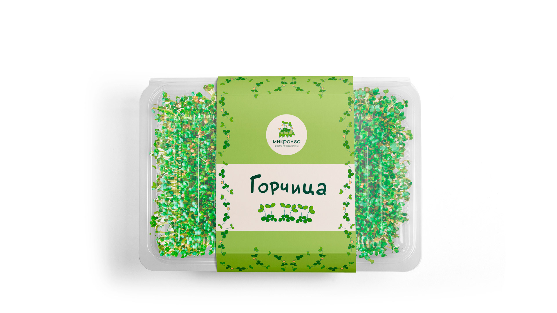 Логотип для производства микрозелени — Изображение №8 — Брендинг, Графика на Dprofile