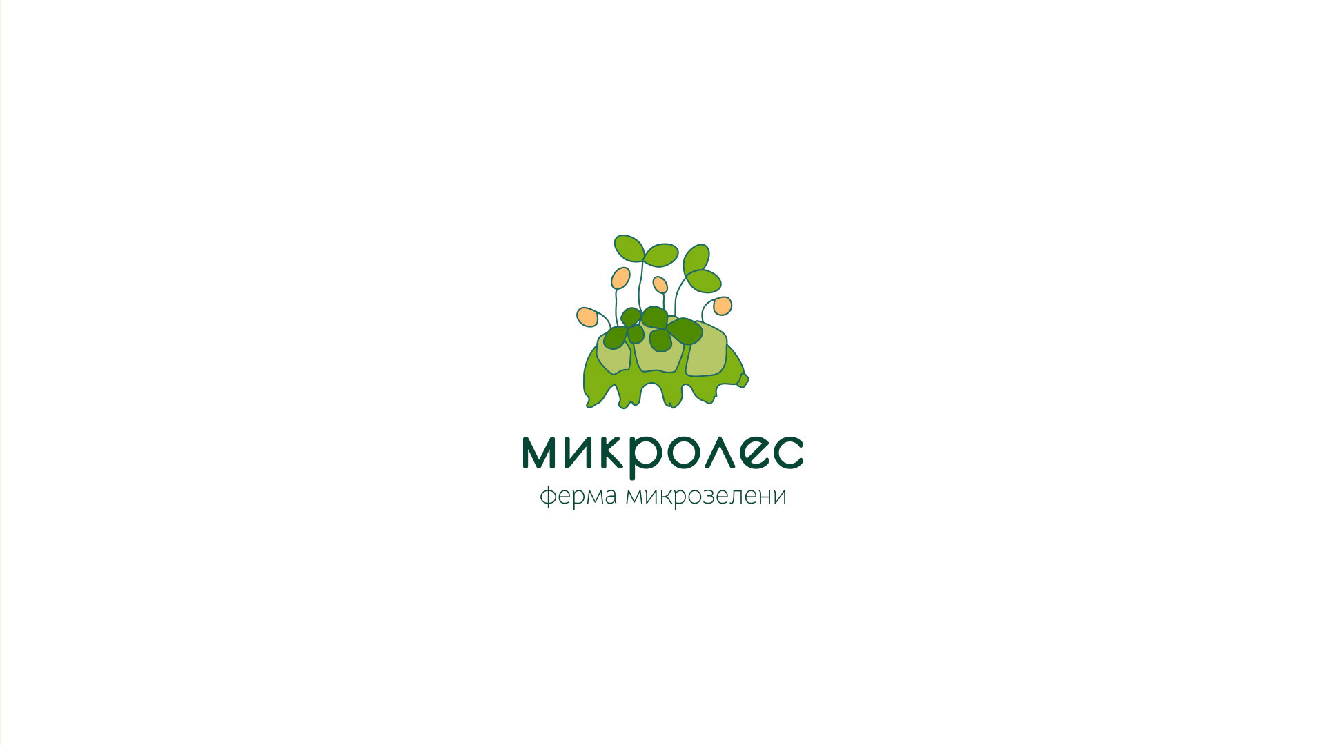 Логотип для производства микрозелени — Изображение №6 — Брендинг, Графика на Dprofile
