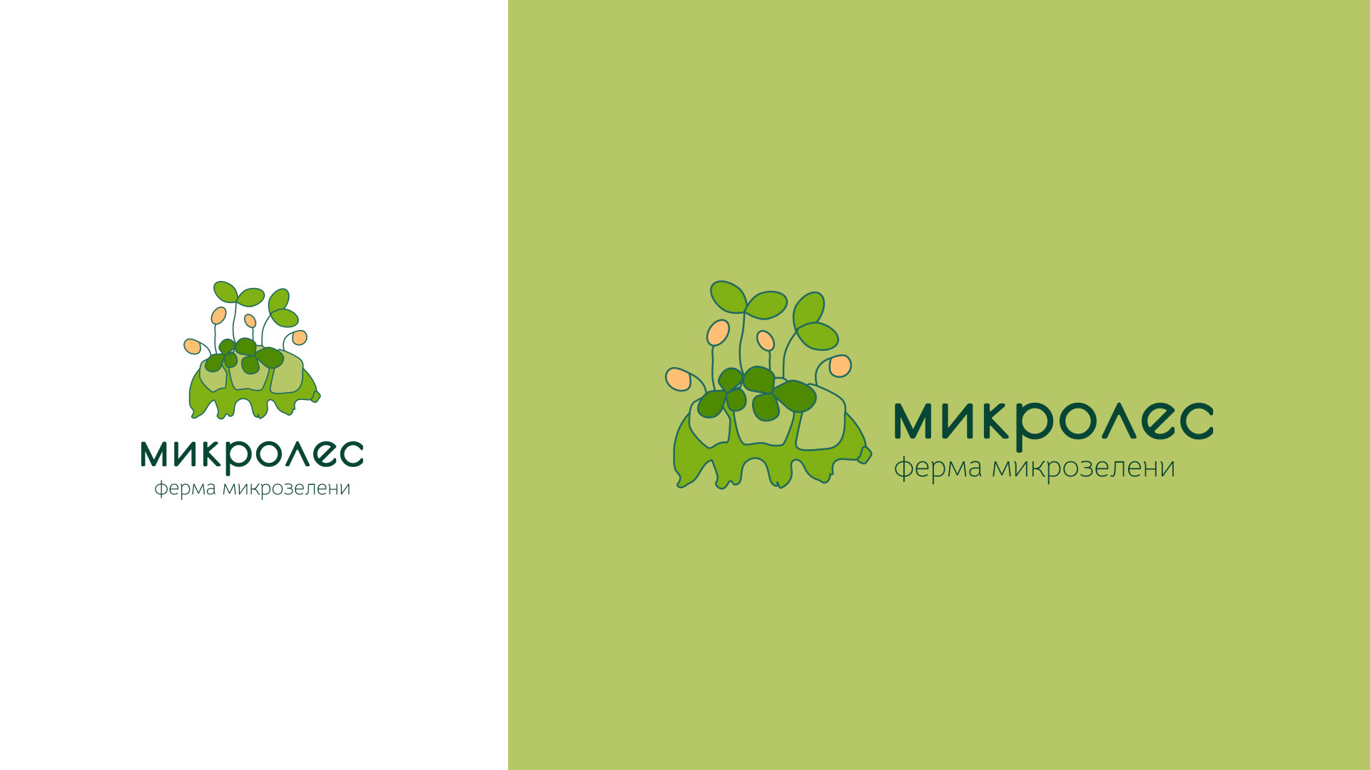 Логотип для производства микрозелени — Изображение №9 — Брендинг, Графика на Dprofile