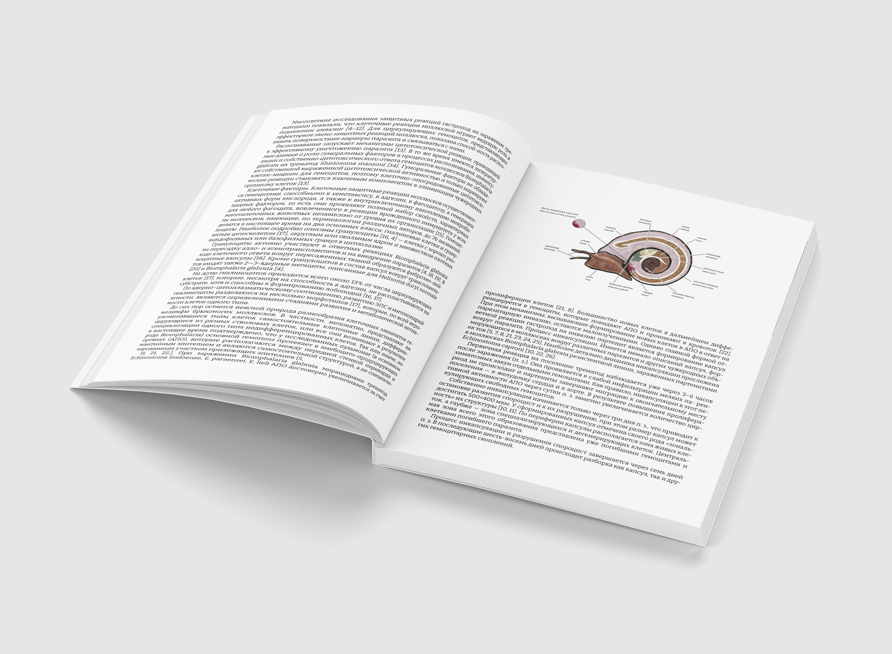 Научная иллюстрация/scientific illustration — Изображение №13 — Иллюстрация, Графика на Dprofile