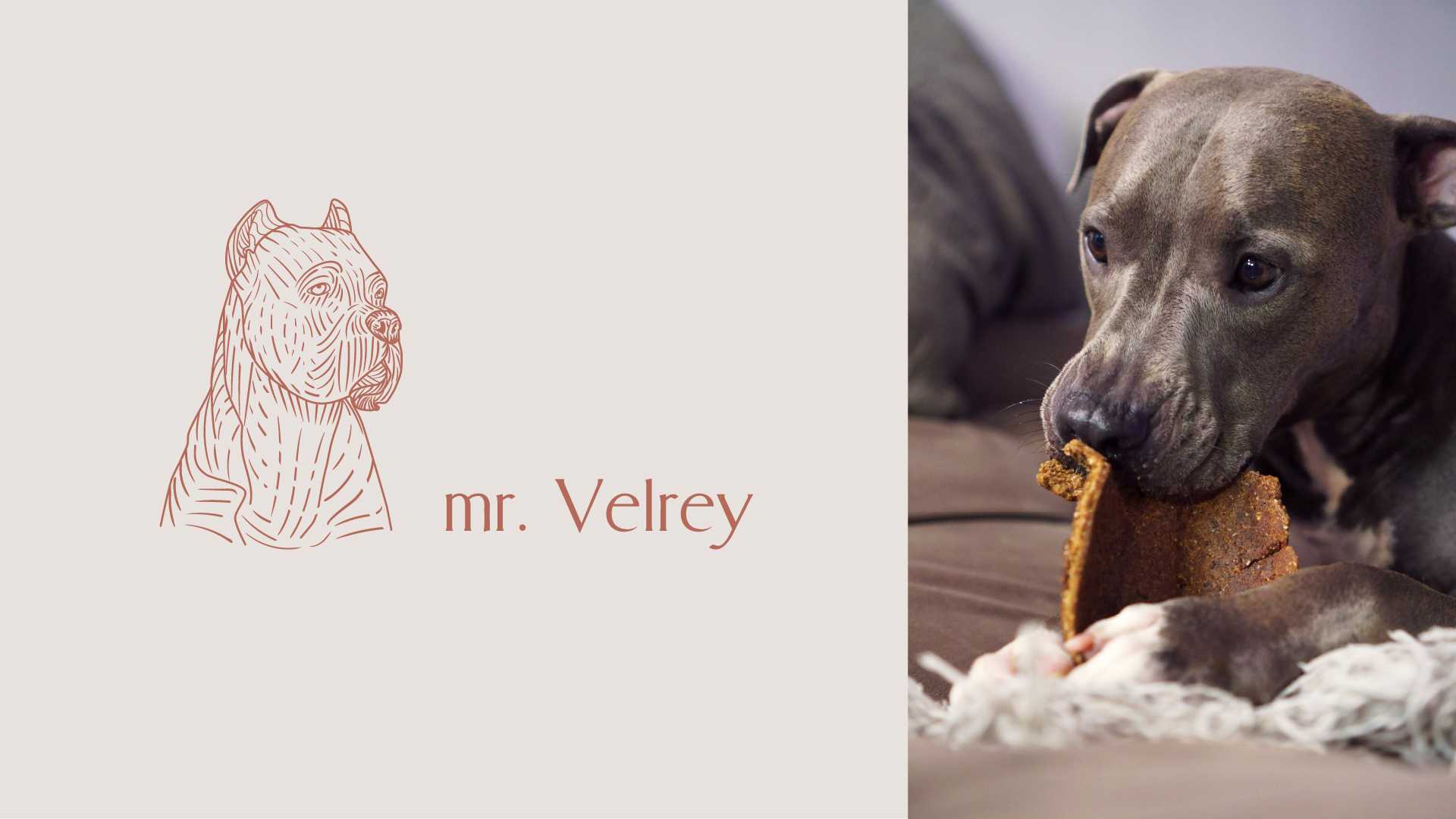 Фирменный стиль для брренда mr. Velrey — Изображение №14 — Брендинг, Графика на Dprofile