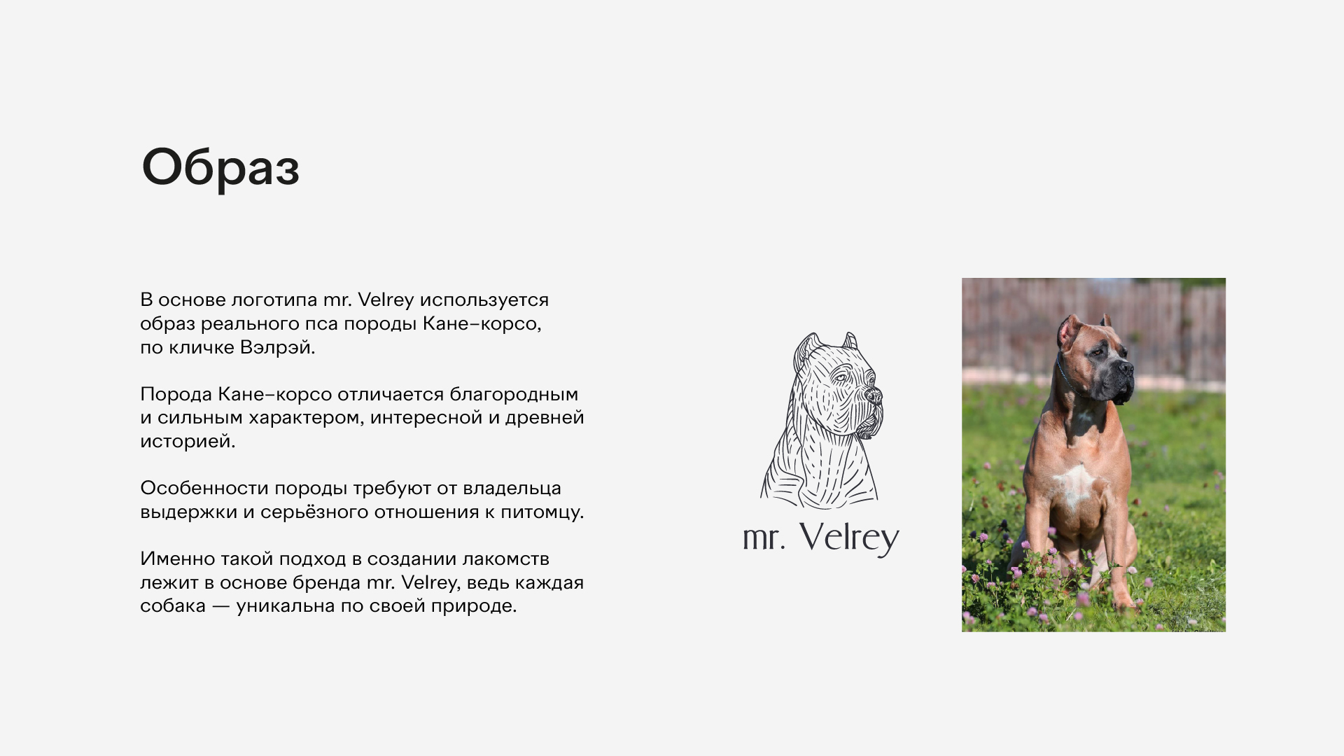 Фирменный стиль для брренда mr. Velrey — Изображение №2 — Брендинг, Графика на Dprofile