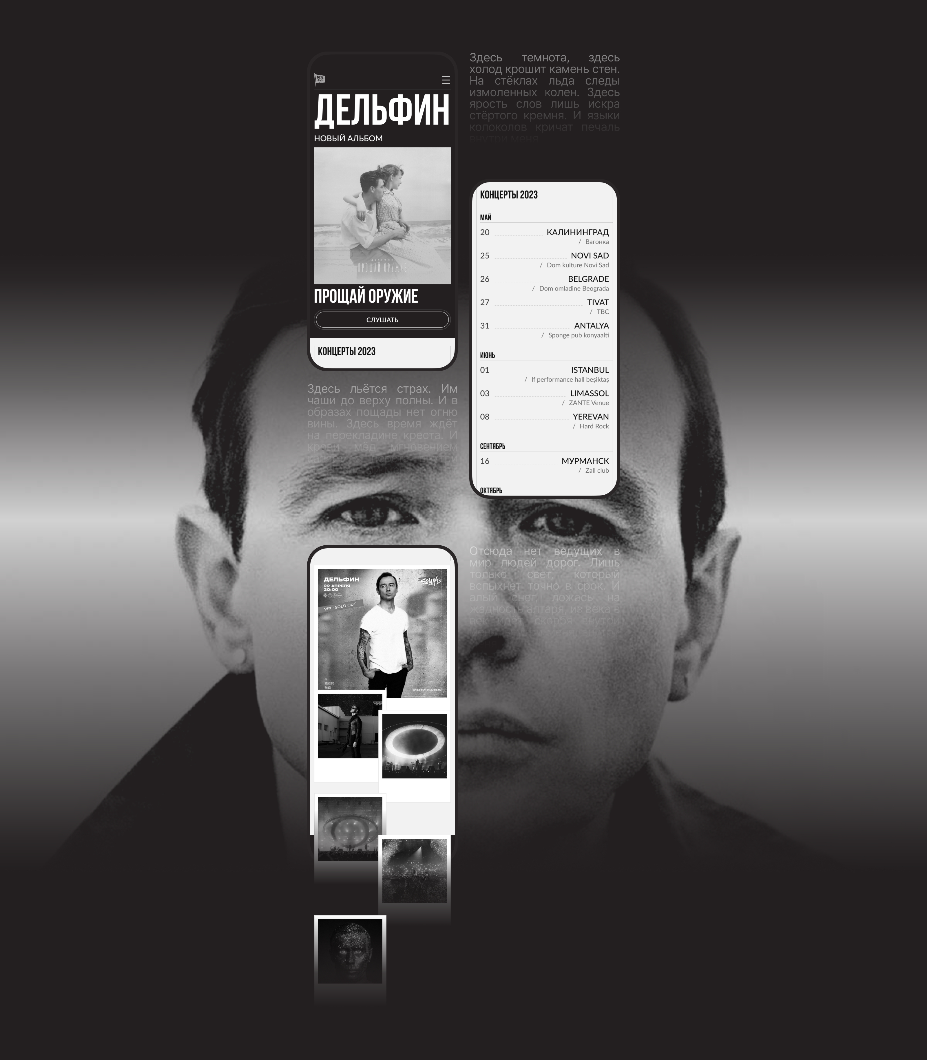 Dolphin | Tender website concept — Изображение №3 — Интерфейсы на Dprofile