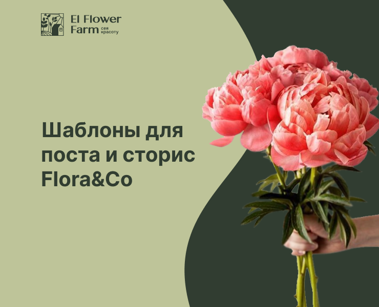 Шаблоны для поста и сторис Flora&Co — Маркетинг на Dprofile