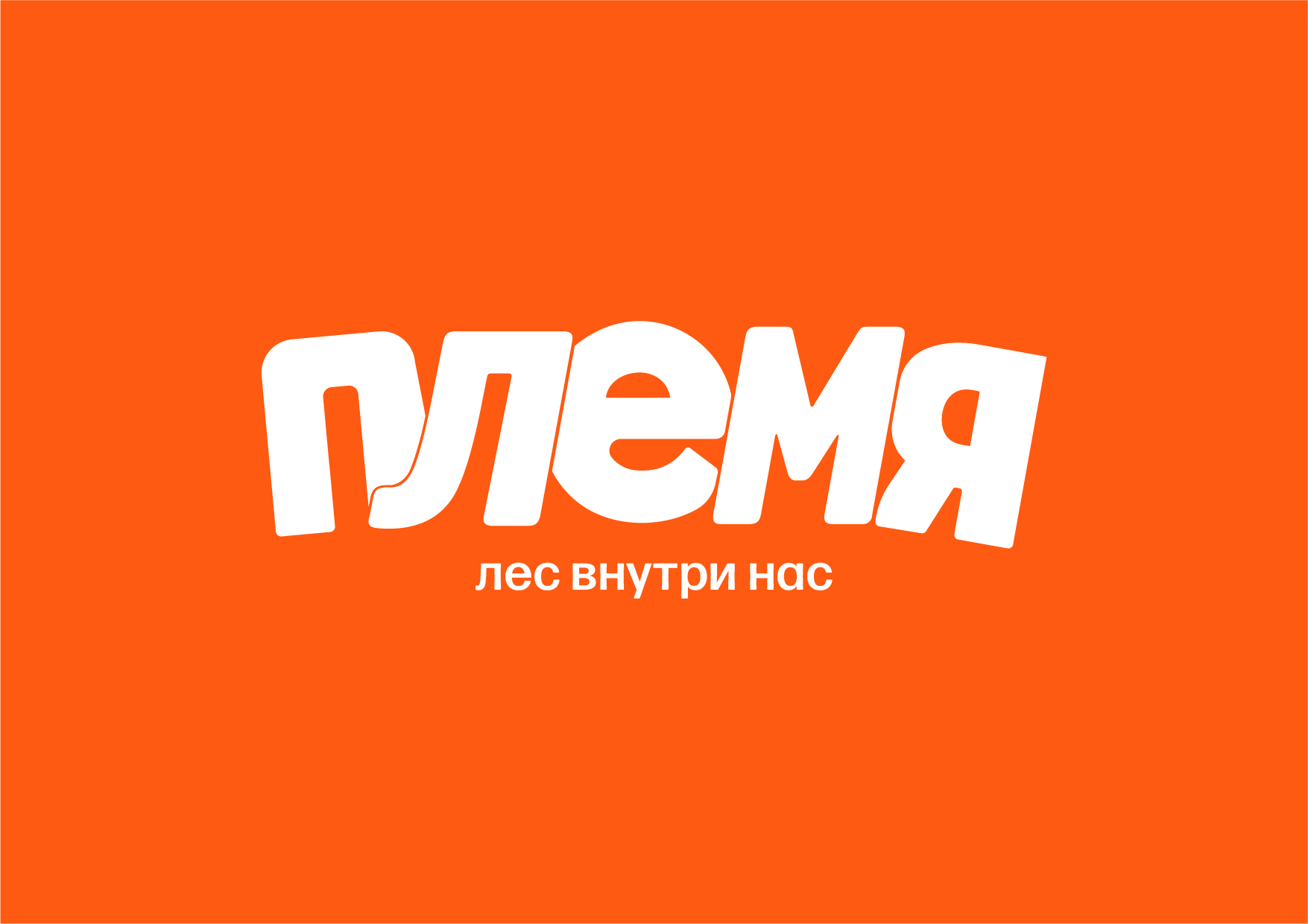 ПЛЕМЯ. Форест-класс для детей — Изображение №2 — Брендинг на Dprofile