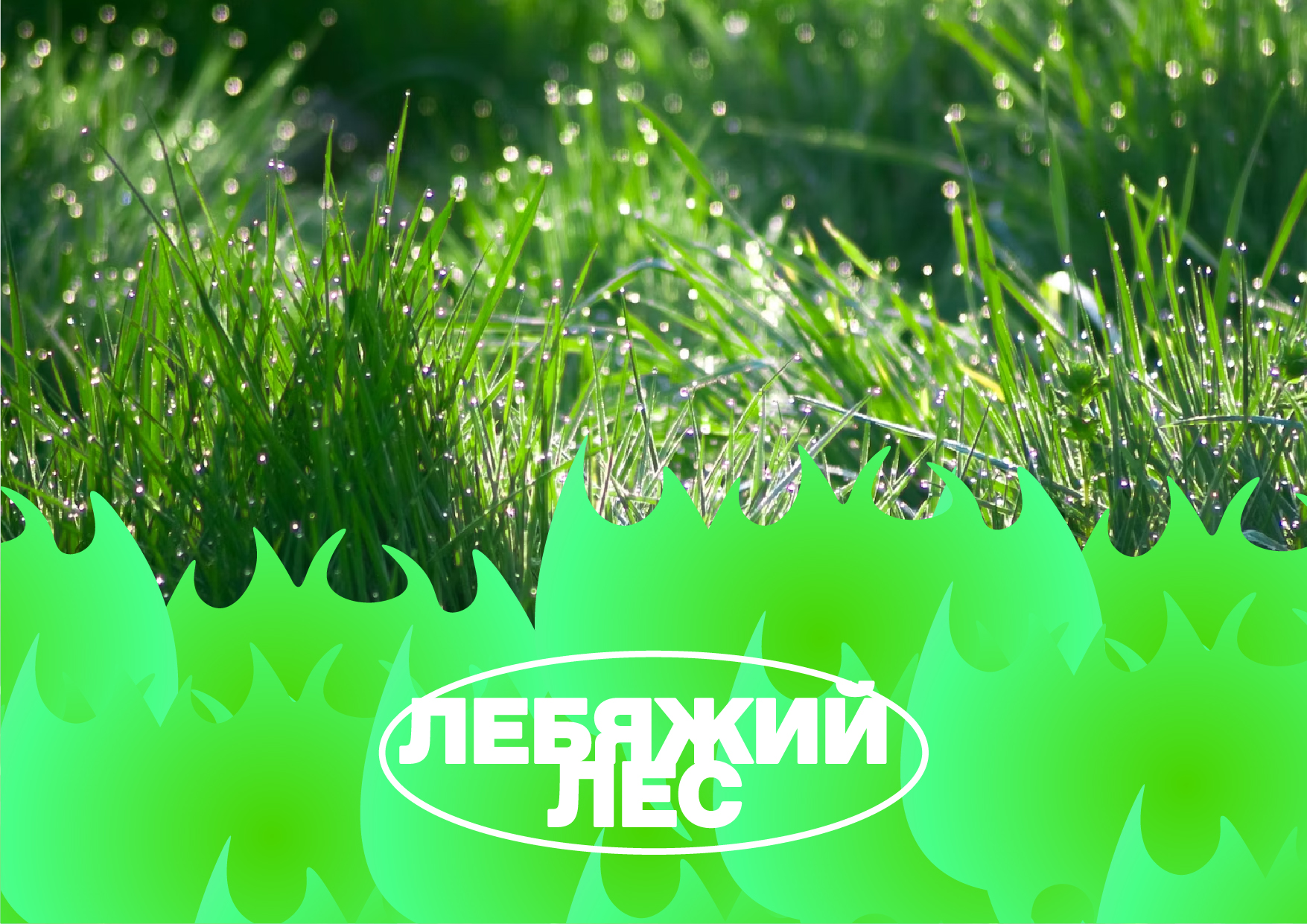 ПЛЕМЯ. Форест-класс для детей — Изображение №11 — Брендинг на Dprofile
