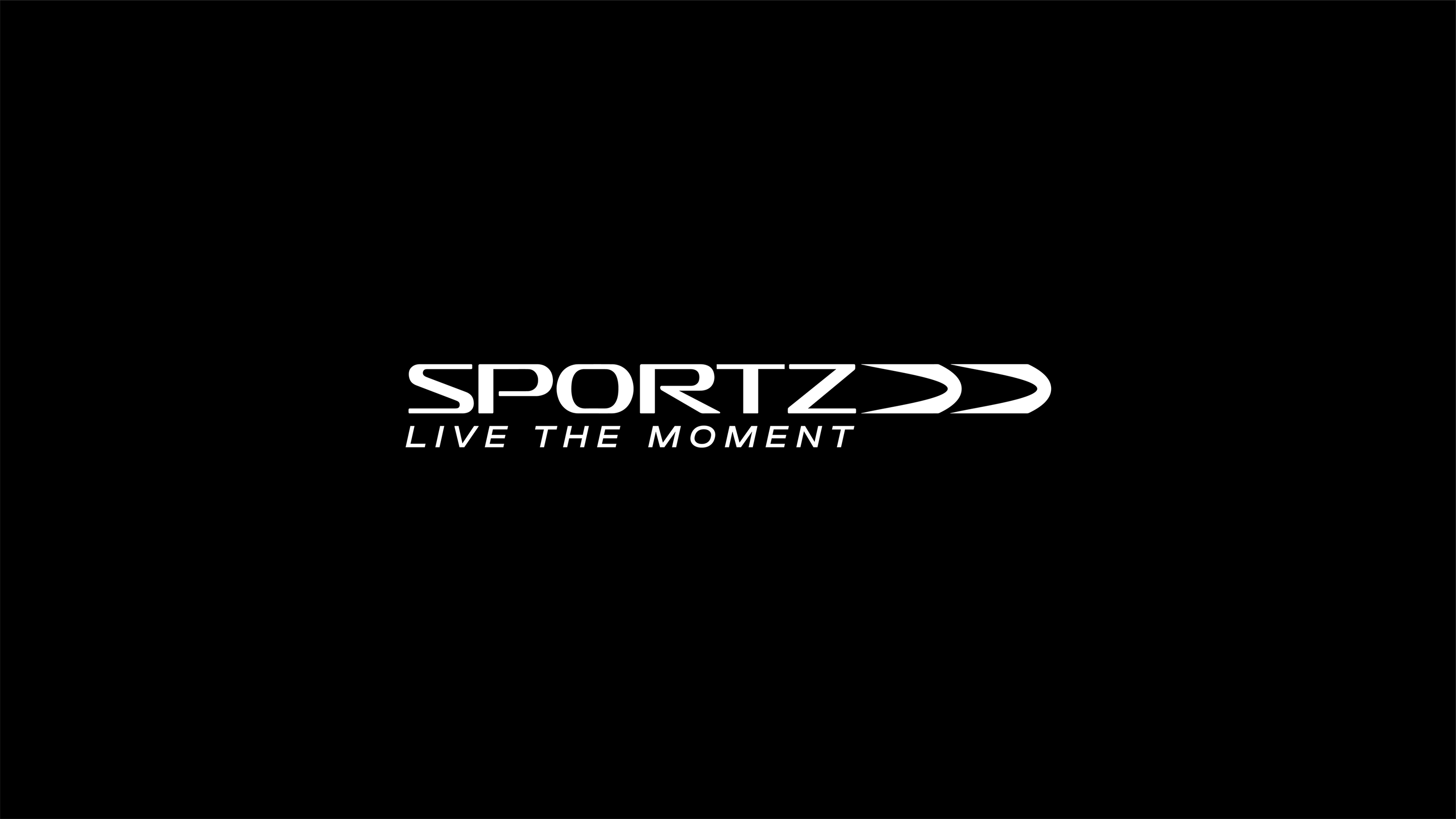 SPORTZ: Айдентика — Изображение №2 — Брендинг, Иллюстрация на Dprofile