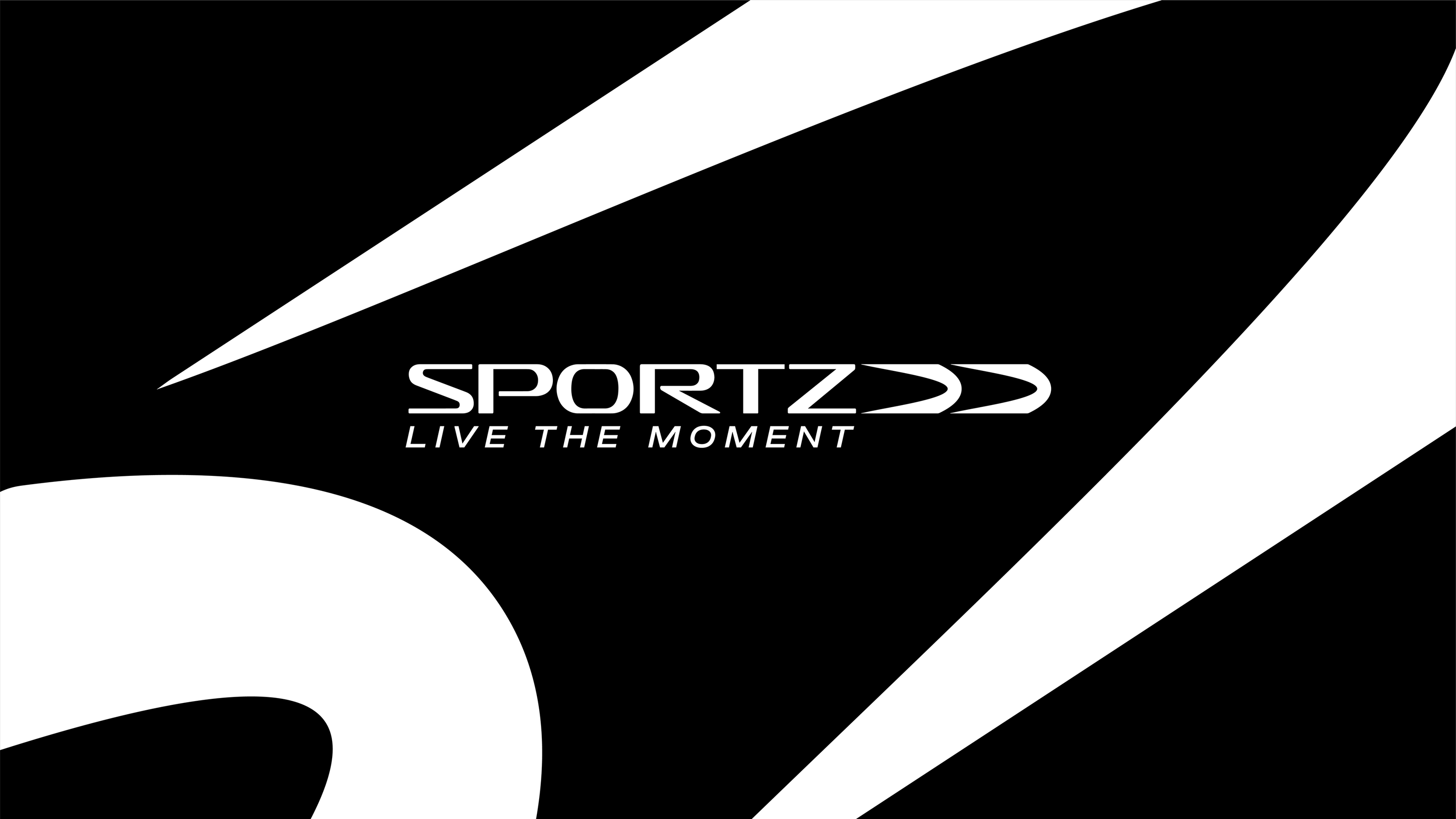 SPORTZ: Айдентика — Изображение №3 — Брендинг, Иллюстрация на Dprofile