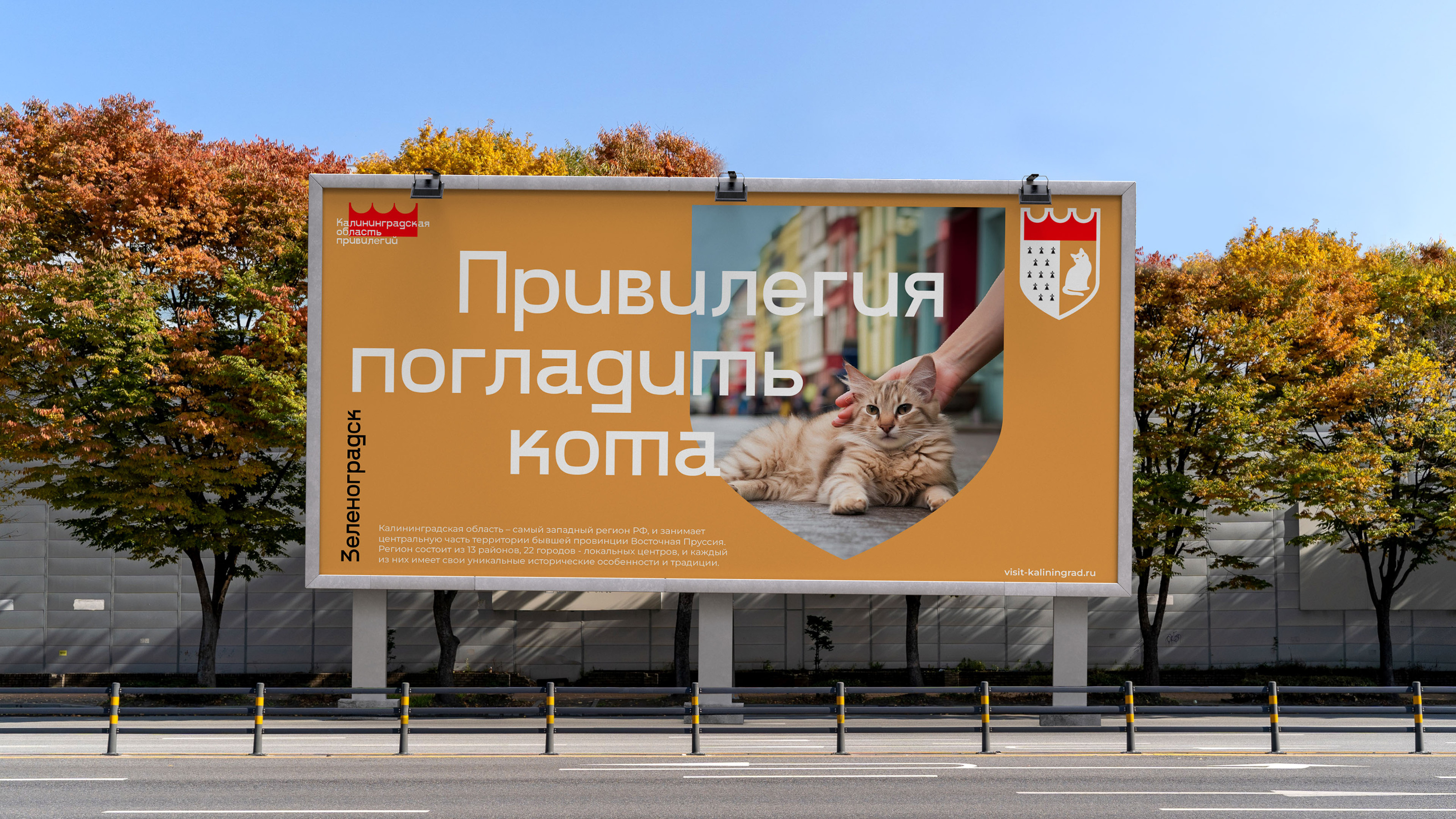 Калининградская область: разработка дизайн-кода — Изображение №23 — Брендинг, Маркетинг на Dprofile
