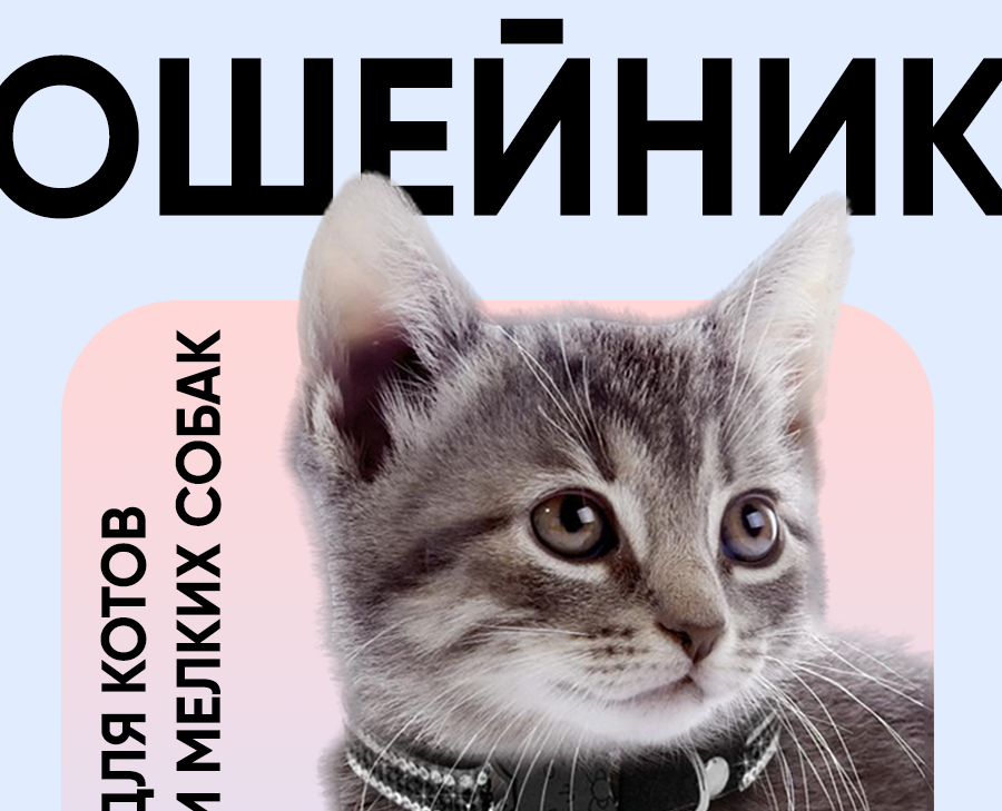 Карточка товара для маркет плэйсов — Графика, Маркетинг на Dprofile