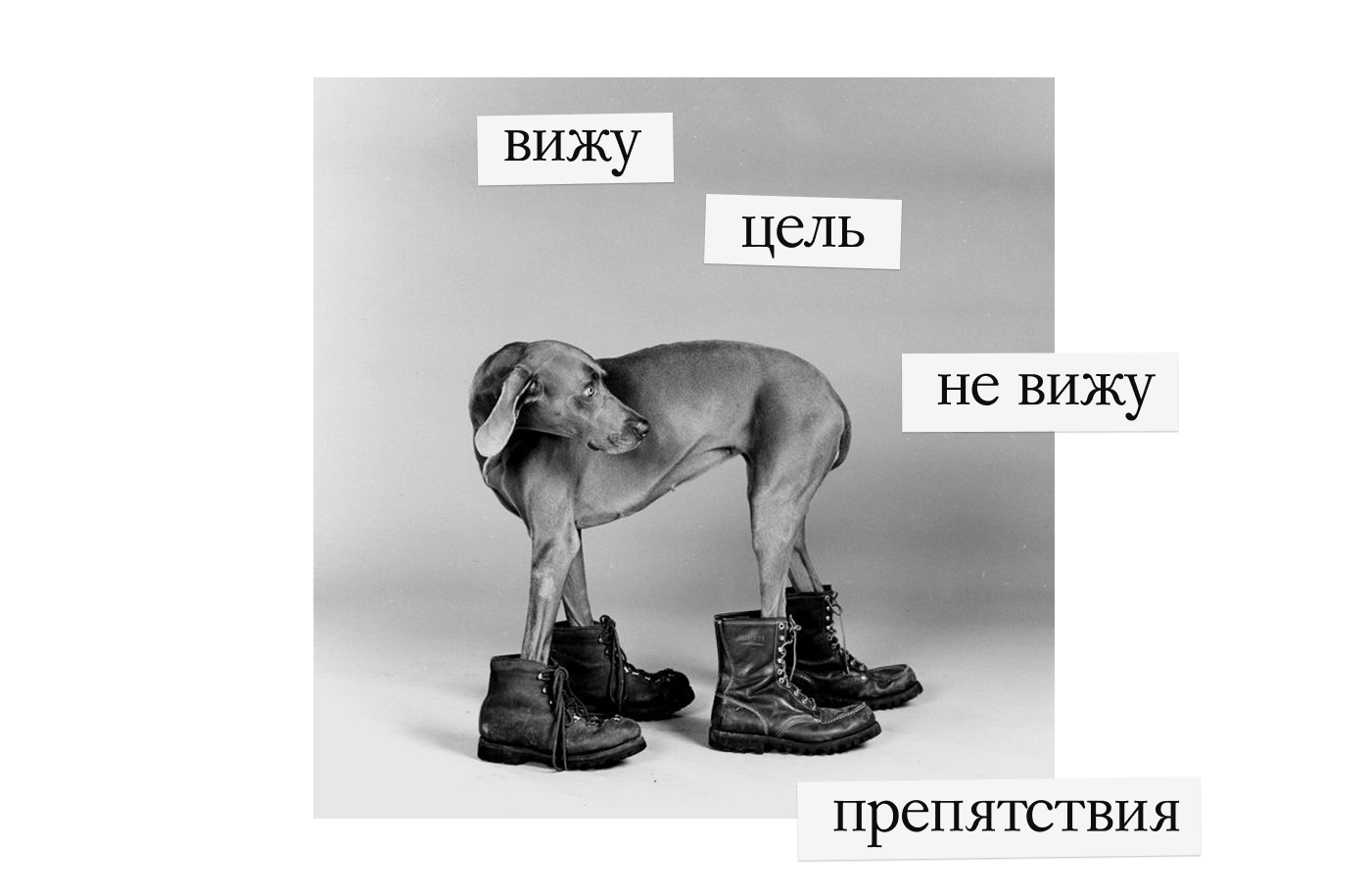 Шрифт Casdog — Изображение №8 — Графика на Dprofile