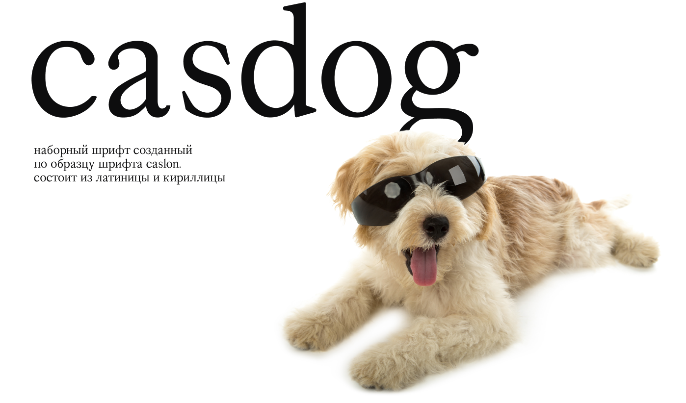 Шрифт Casdog — Изображение №1 — Графика на Dprofile