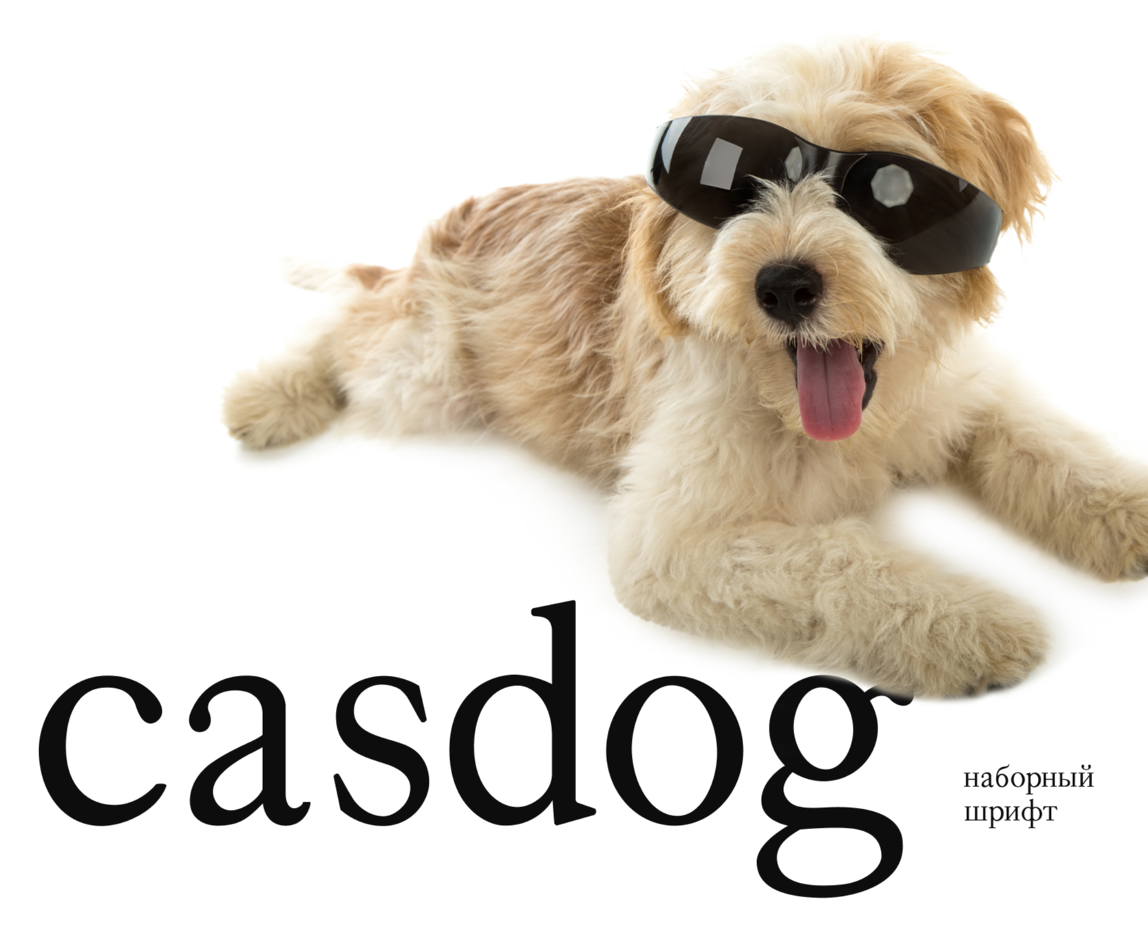Шрифт Casdog на Dprofile