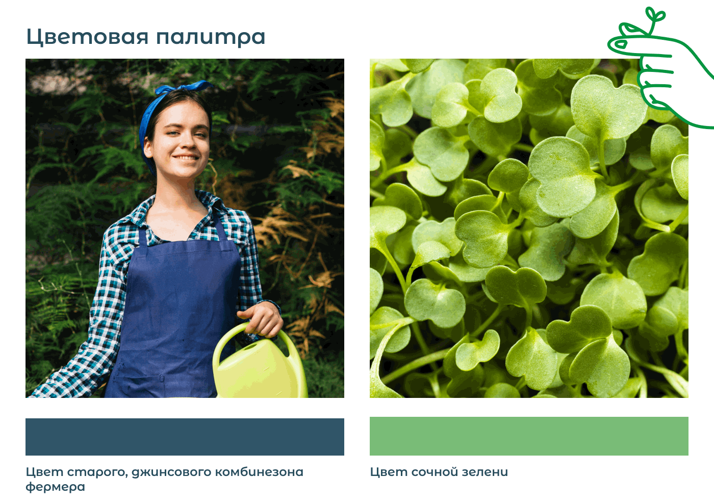 Упаковка для семян/Packaging — Изображение №3 — Брендинг, Графика на Dprofile