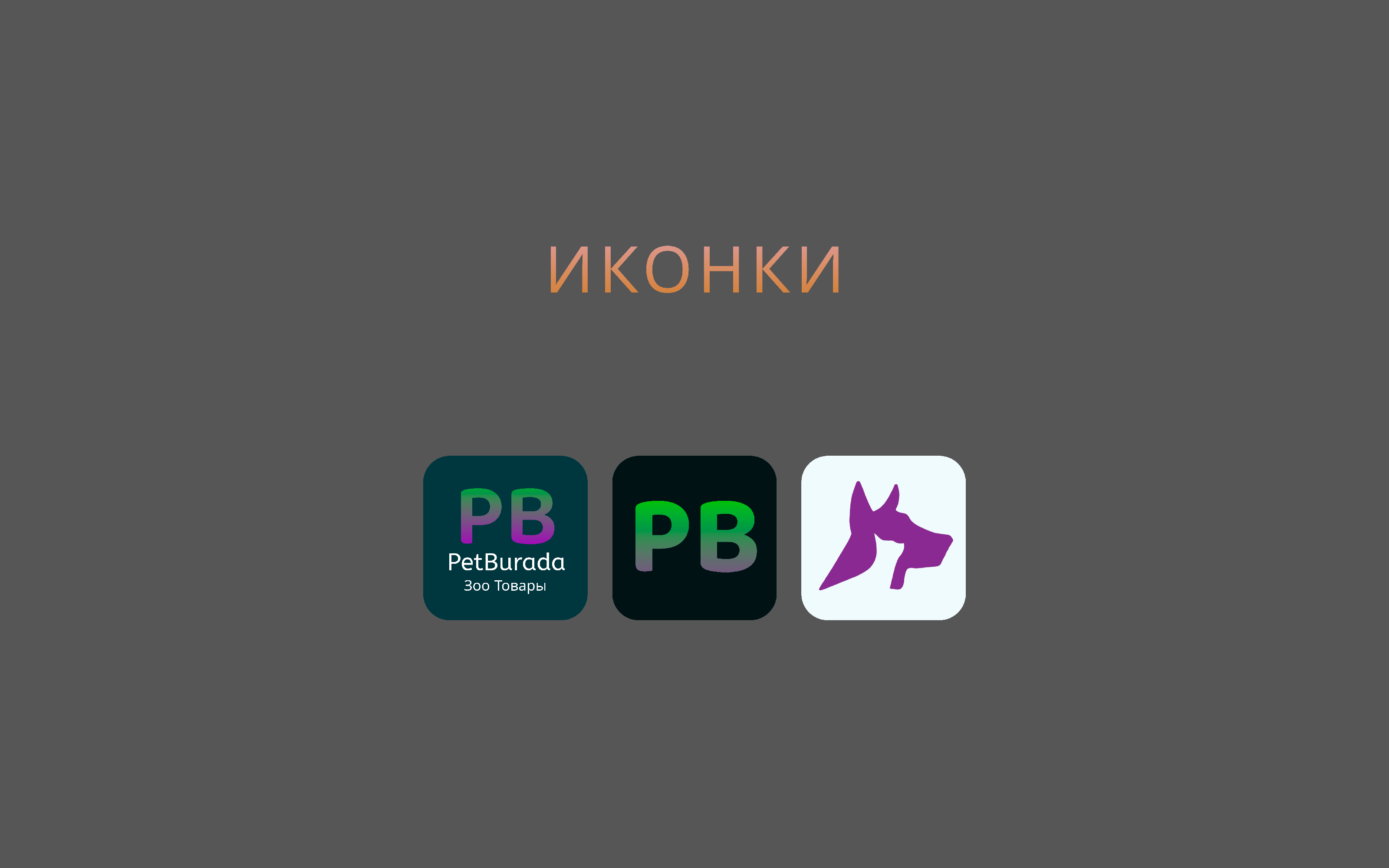 PETBURADA — Изображение №2 — Интерфейсы, Брендинг на Dprofile