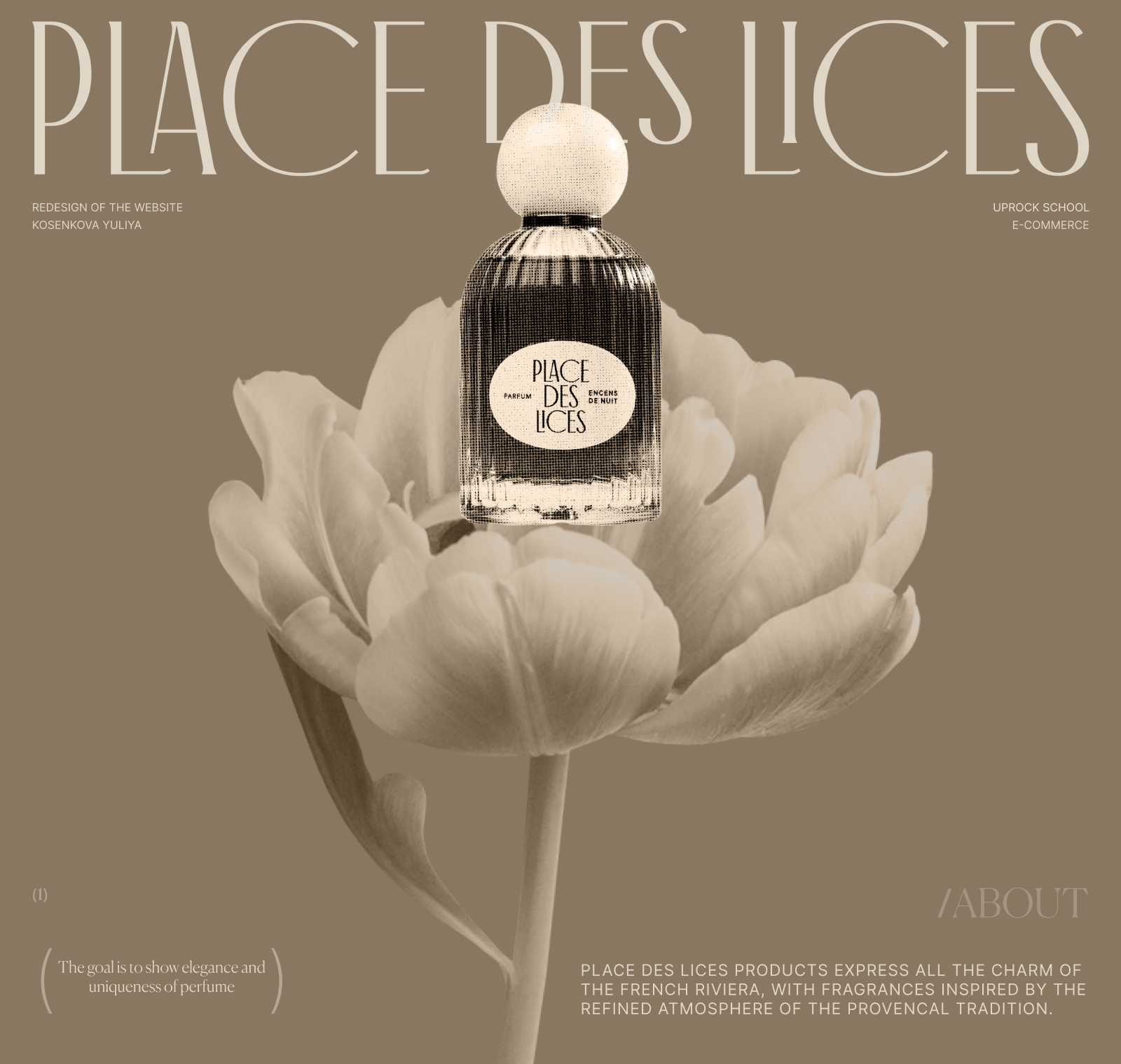 Place des Lices | E-commerce Redesign — Изображение №1 — Интерфейсы, Анимация на Dprofile