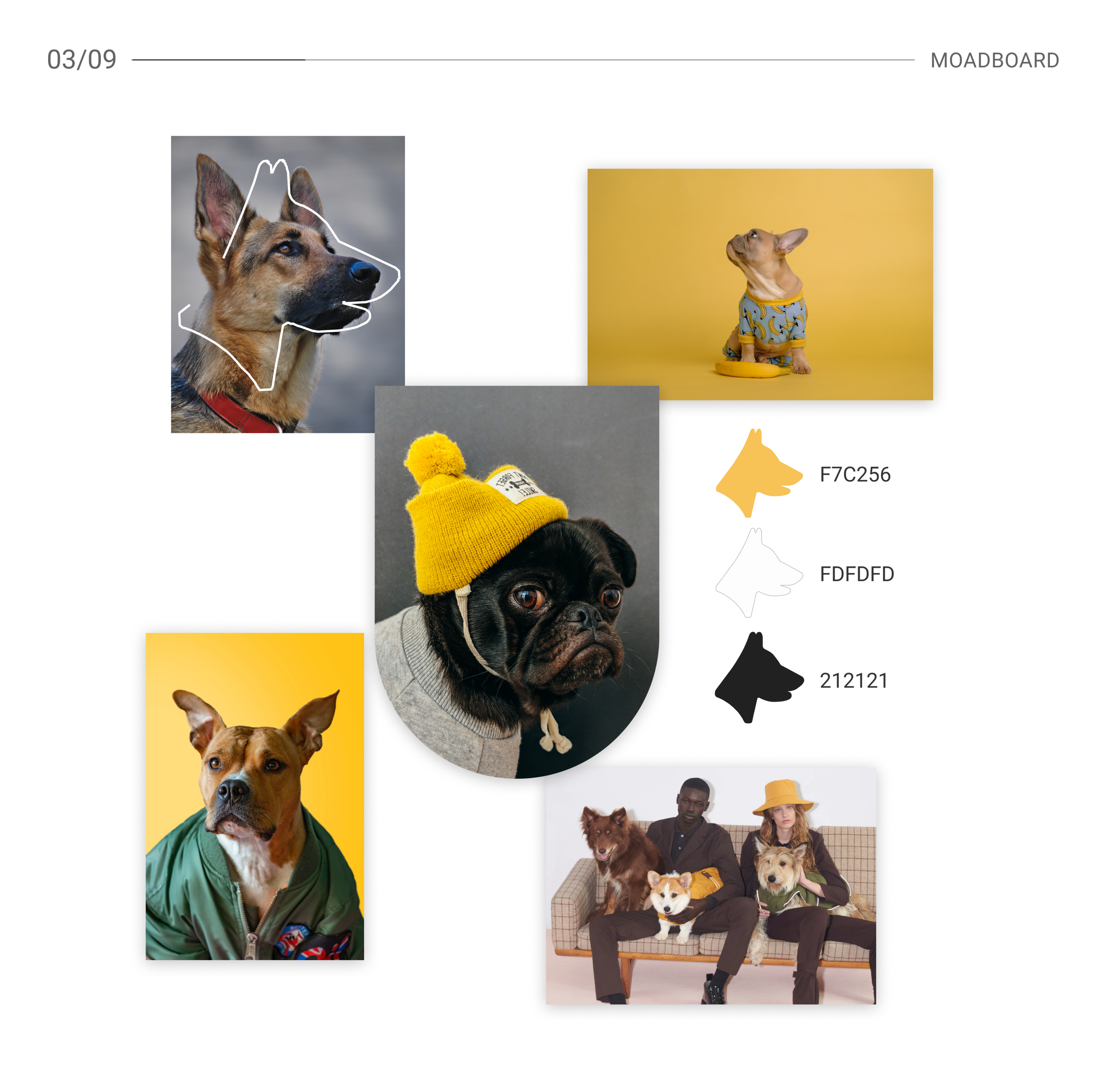 Online Pet Store | E-commerce — Изображение №4 — Брендинг, Интерфейсы на Dprofile