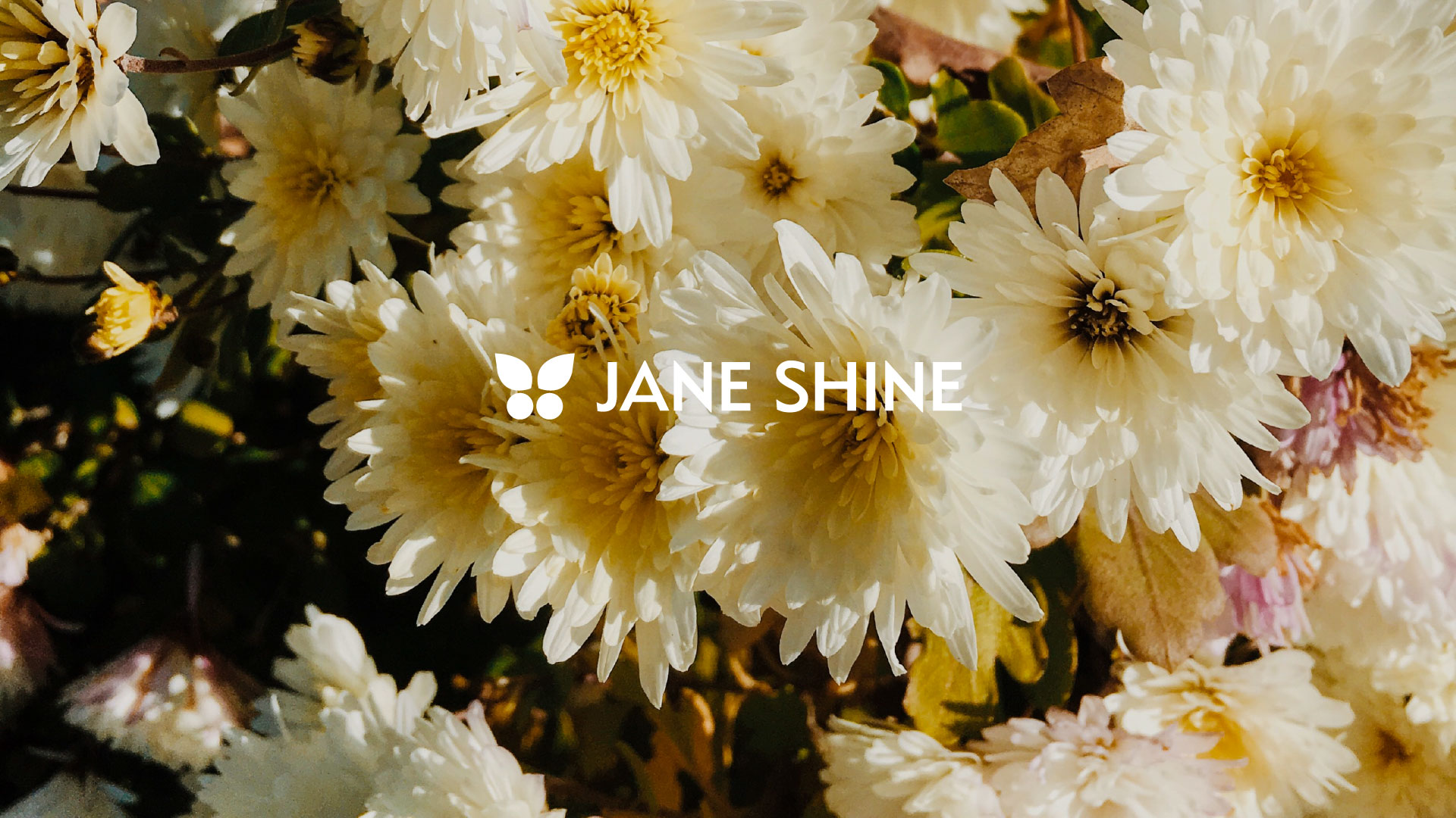 Jane Shine. Логотип, цвета, шрифт. 2023 — Изображение №1 — Брендинг на Dprofile